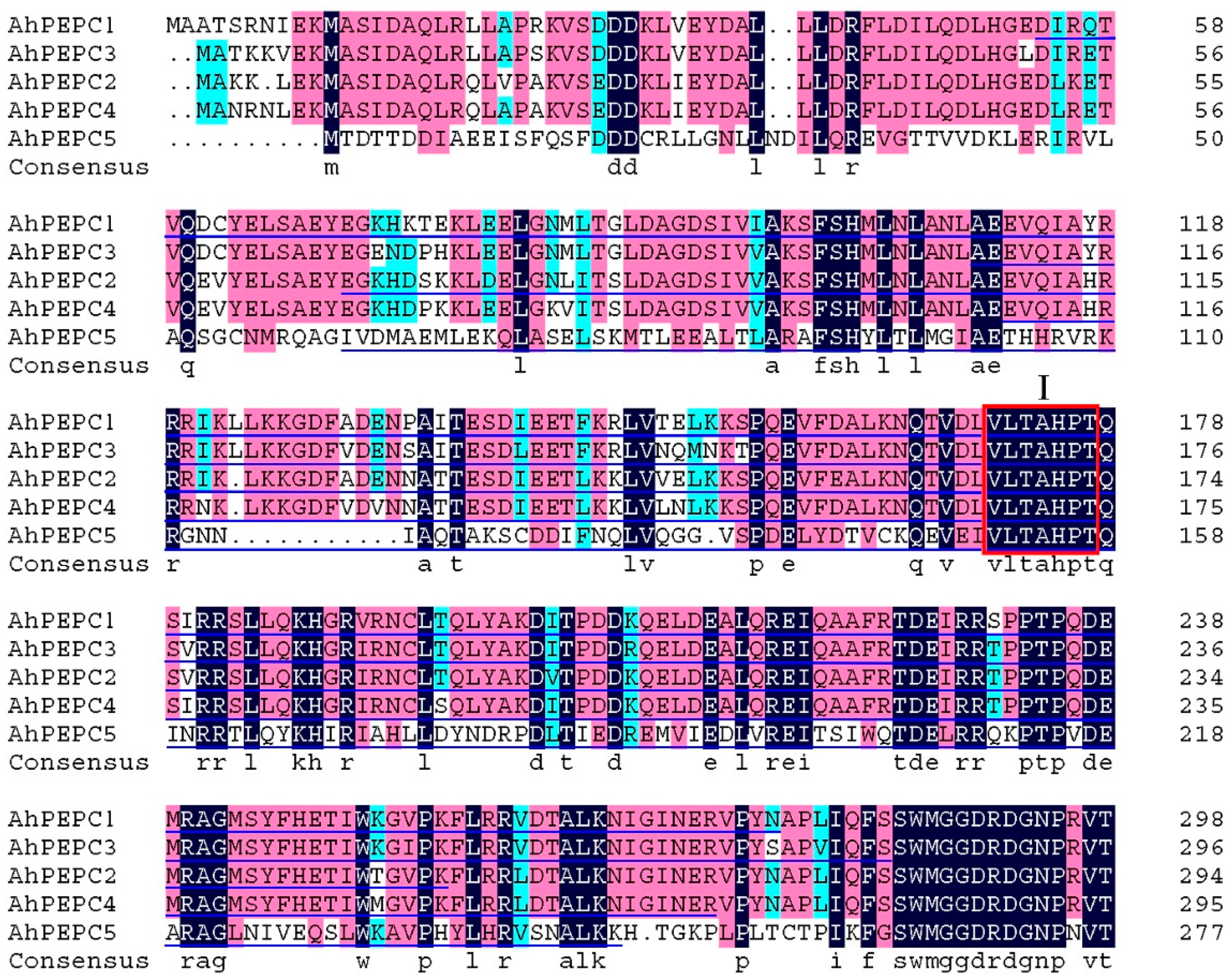 Plants 10 00365 g003 Plants 10 00365 g003