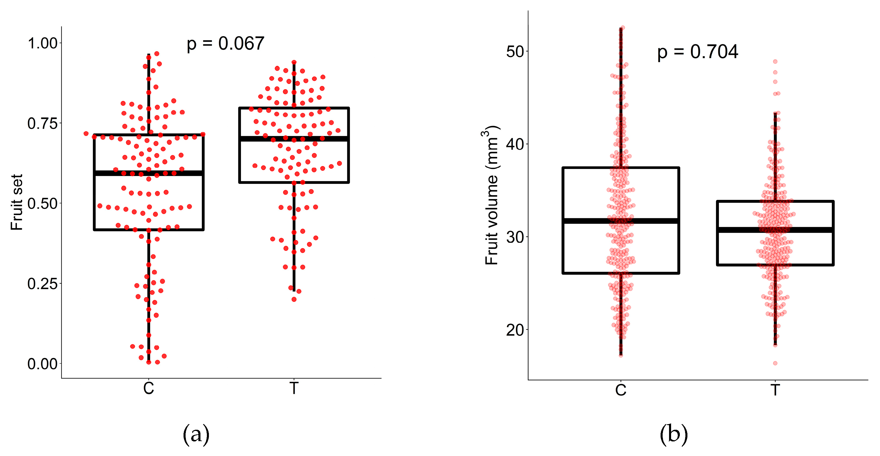 Plants Free Full Text No Effect Of Selective Maturation On Fruit Traits For A Bird Dispersed Species Sambucus Racemosa Html Plants Free Full Text No Effect Of Selective Maturation On Fruit Traits For A Bird Dispersed Species Sambucus Racemosa Html