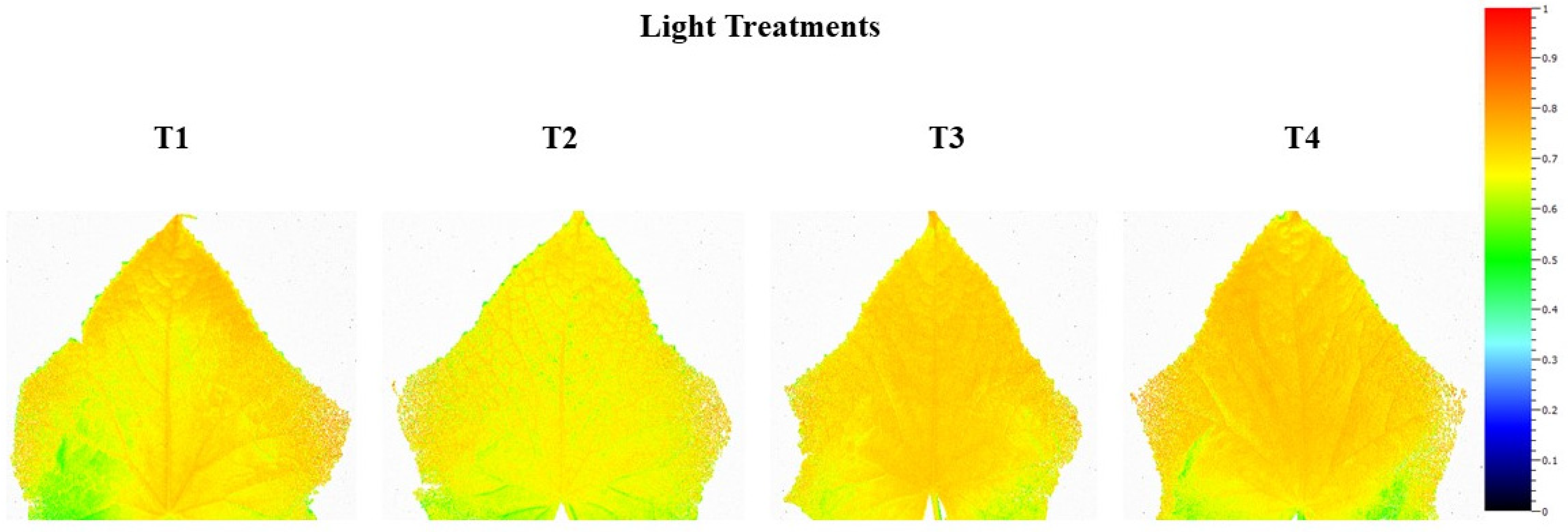 Plants 10 00378 g006 Plants 10 00378 g006