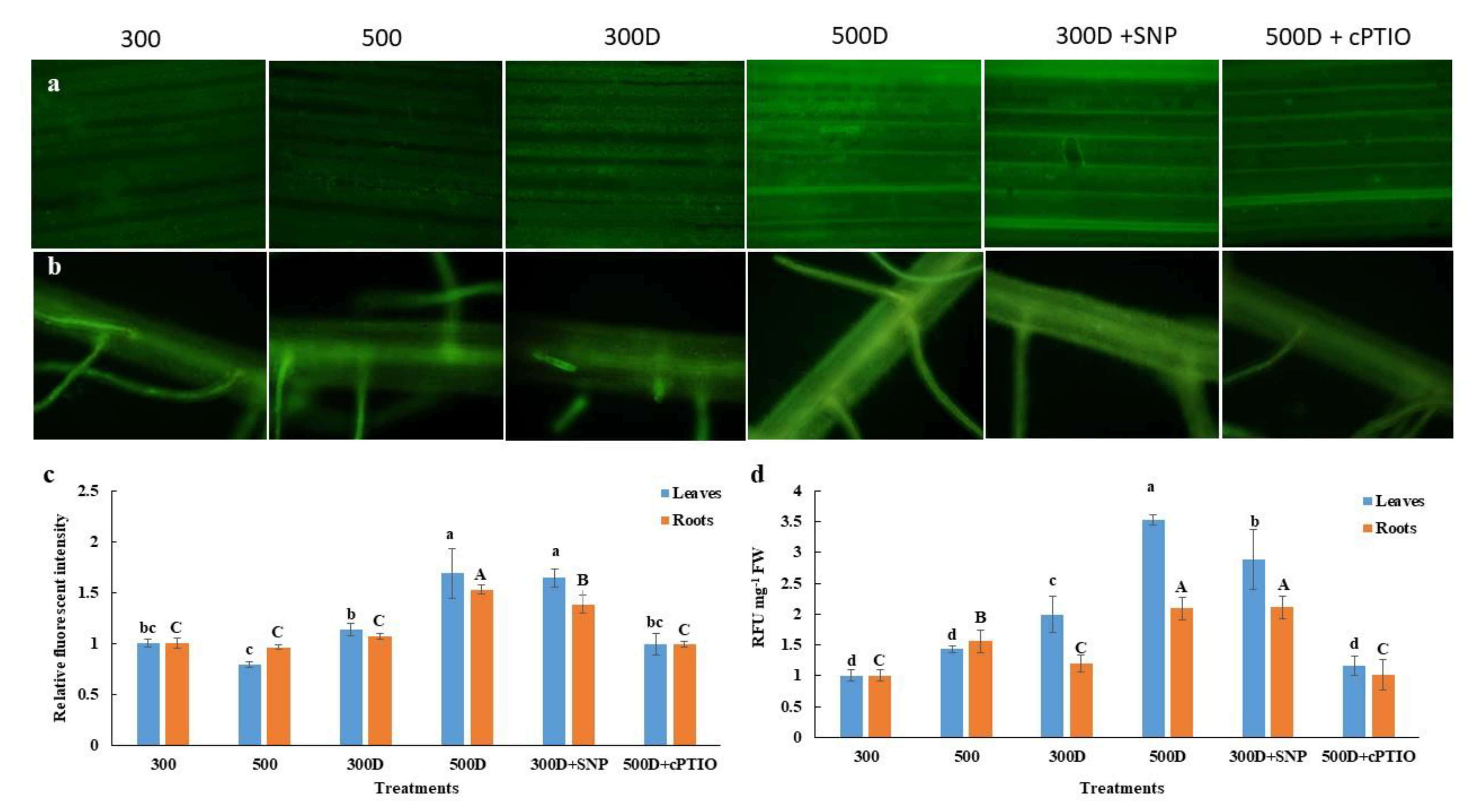Plants 10 00381 g005 Plants 10 00381 g005