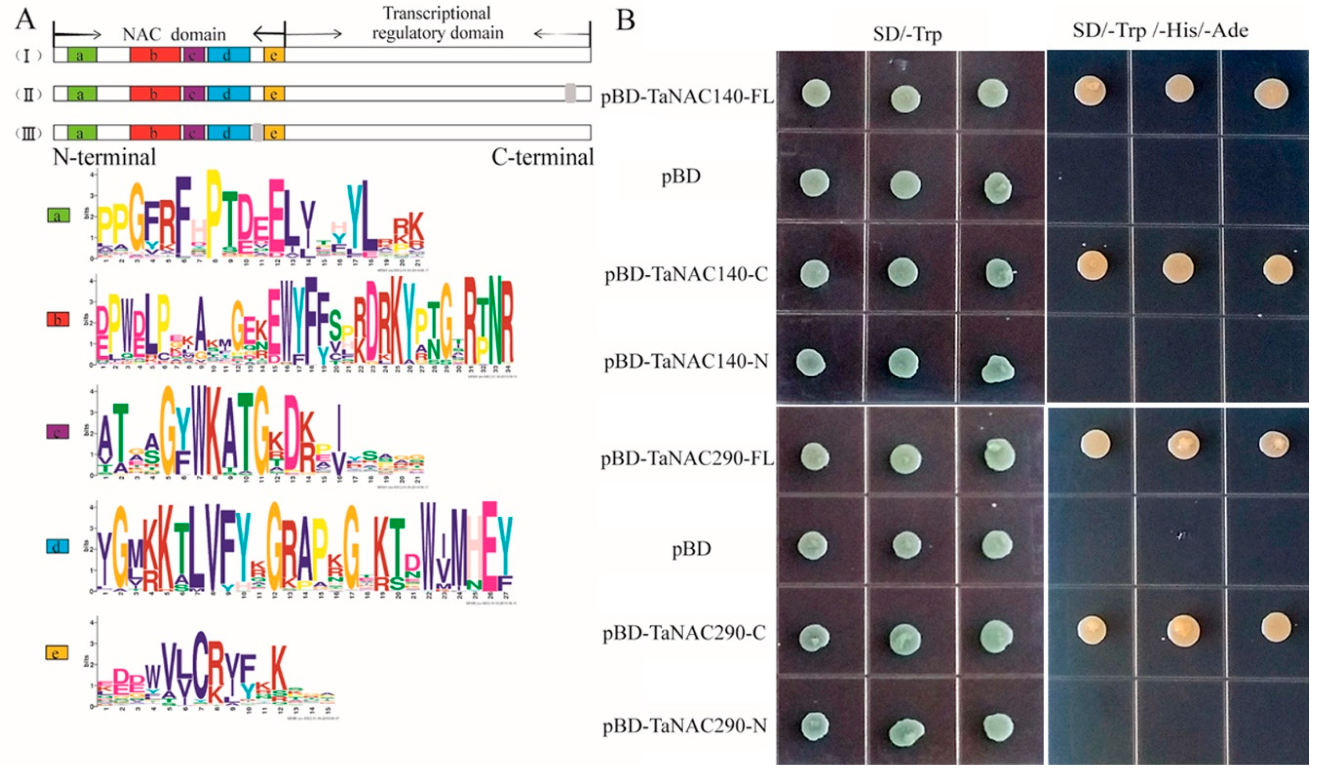 Plants 10 00382 g001
