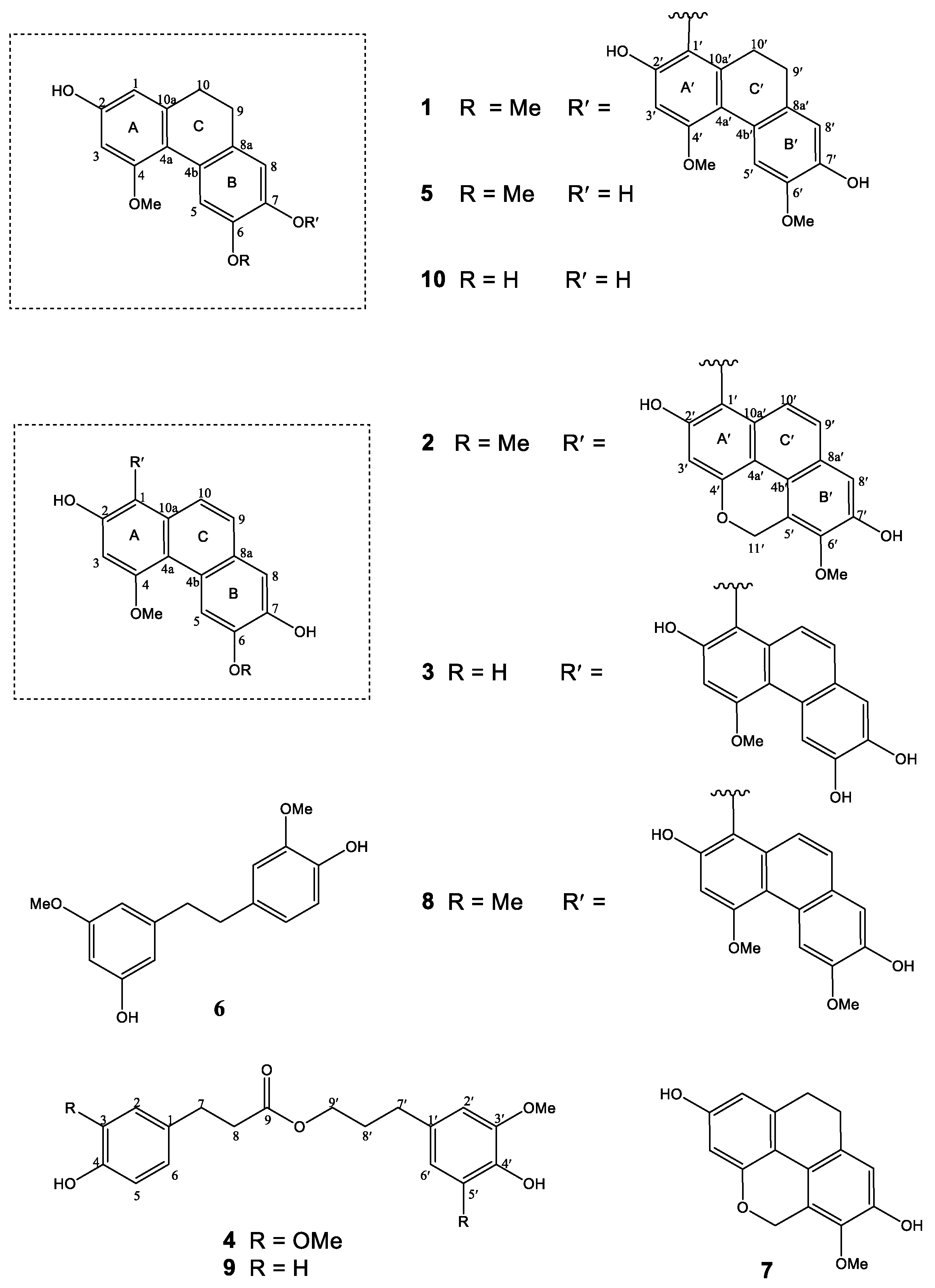 Plants 10 00385 g002 Plants 10 00385 g002