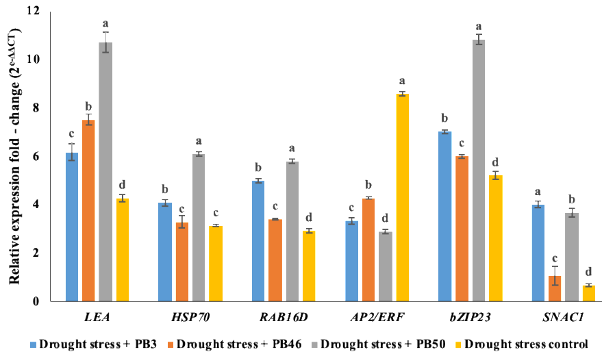 Plants 10 00387 g002 Plants 10 00387 g002