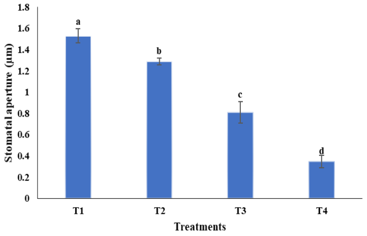 Plants 10 00387 g006 Plants 10 00387 g006