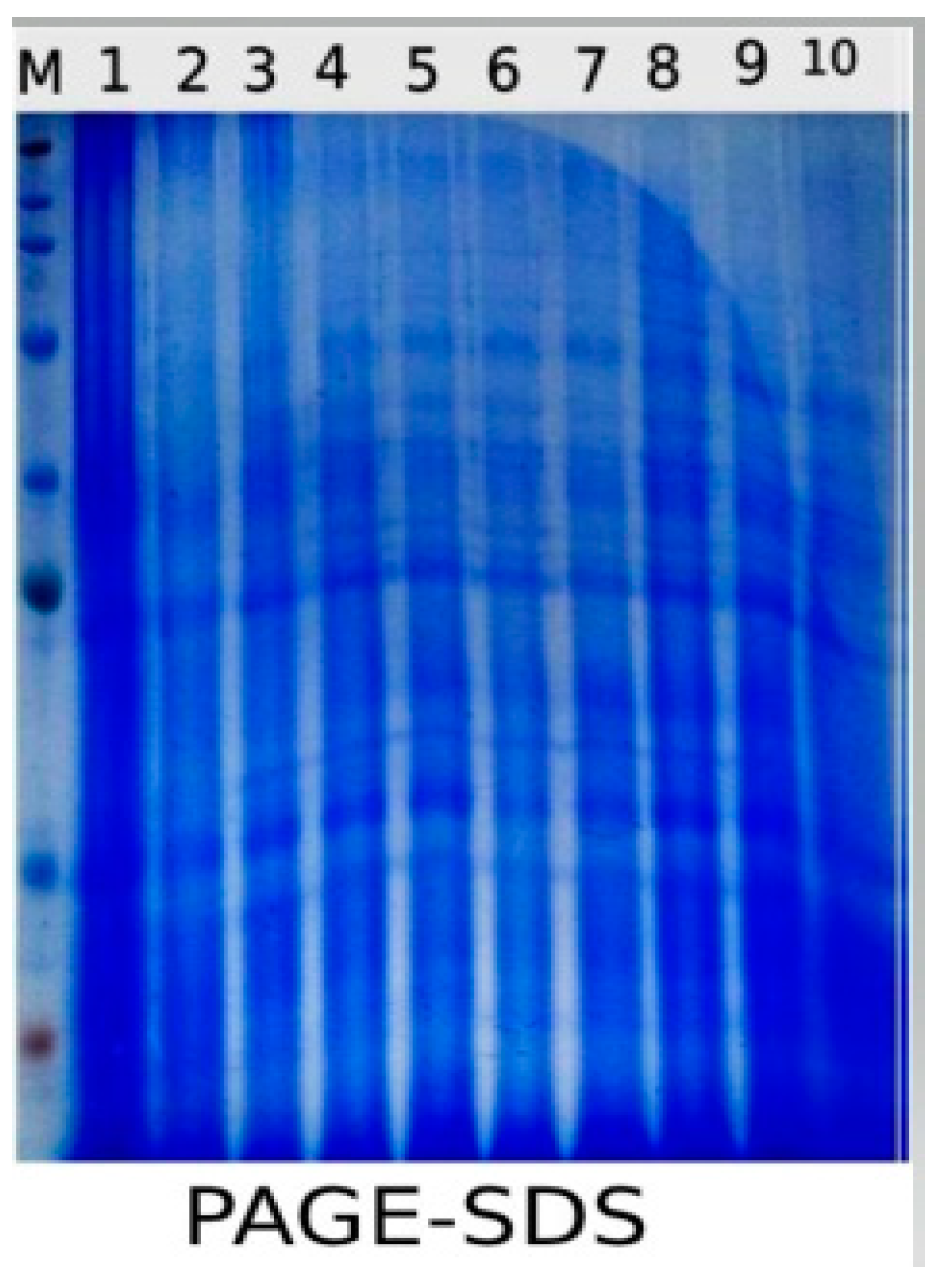 Plants 10 00388 g010 Plants 10 00388 g010