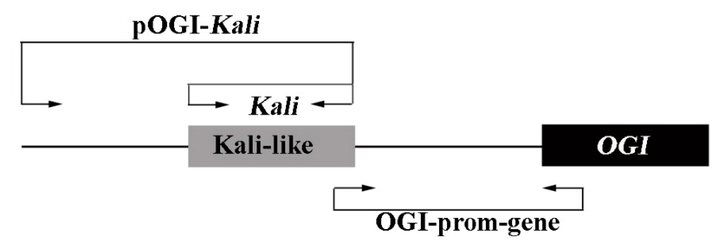 Plants 10 00390 g001 Plants 10 00390 g001