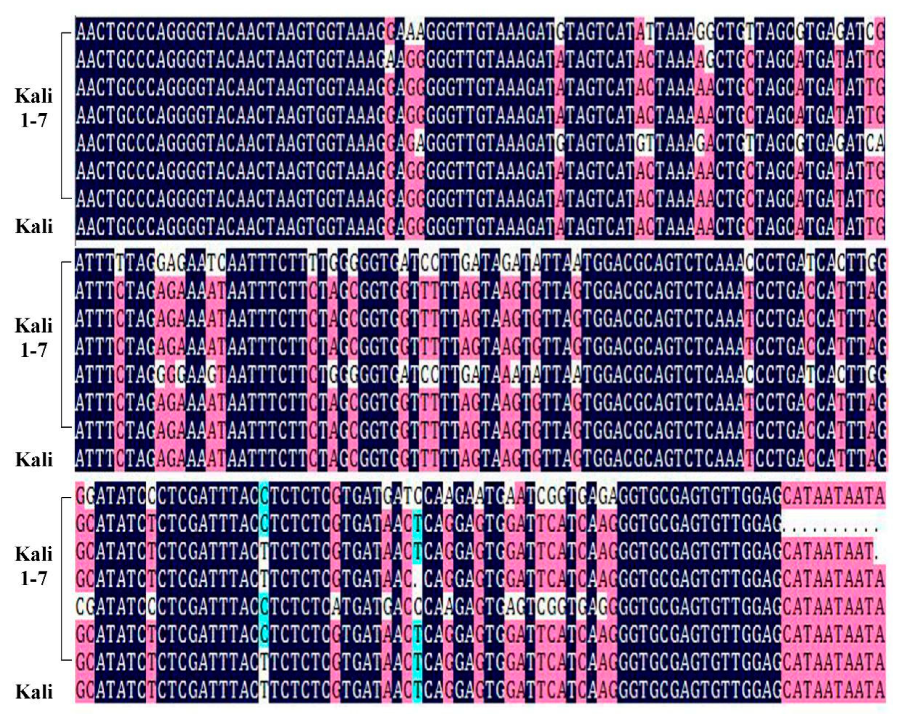 Plants 10 00390 g004 Plants 10 00390 g004