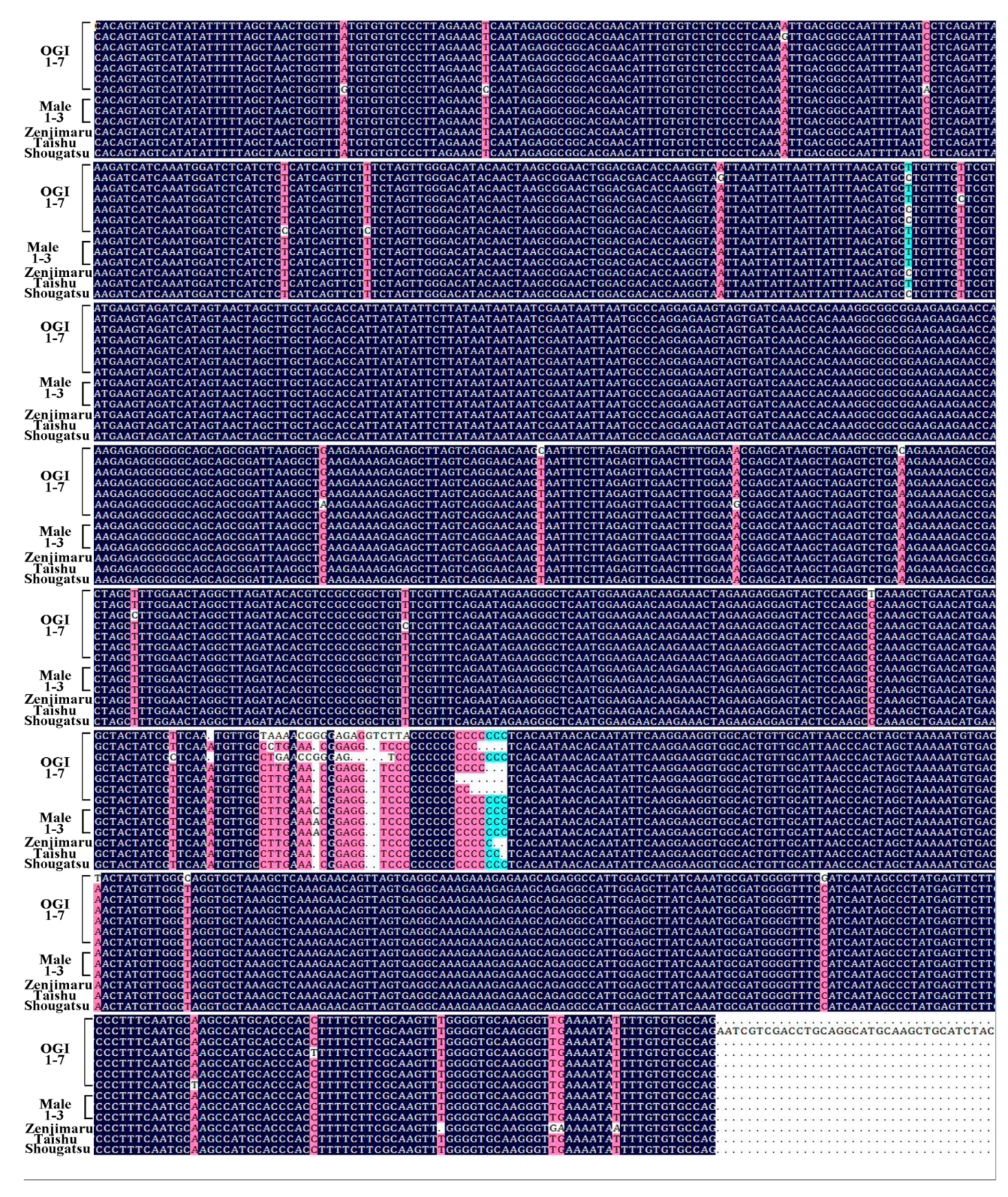 Plants 10 00390 g005 Plants 10 00390 g005