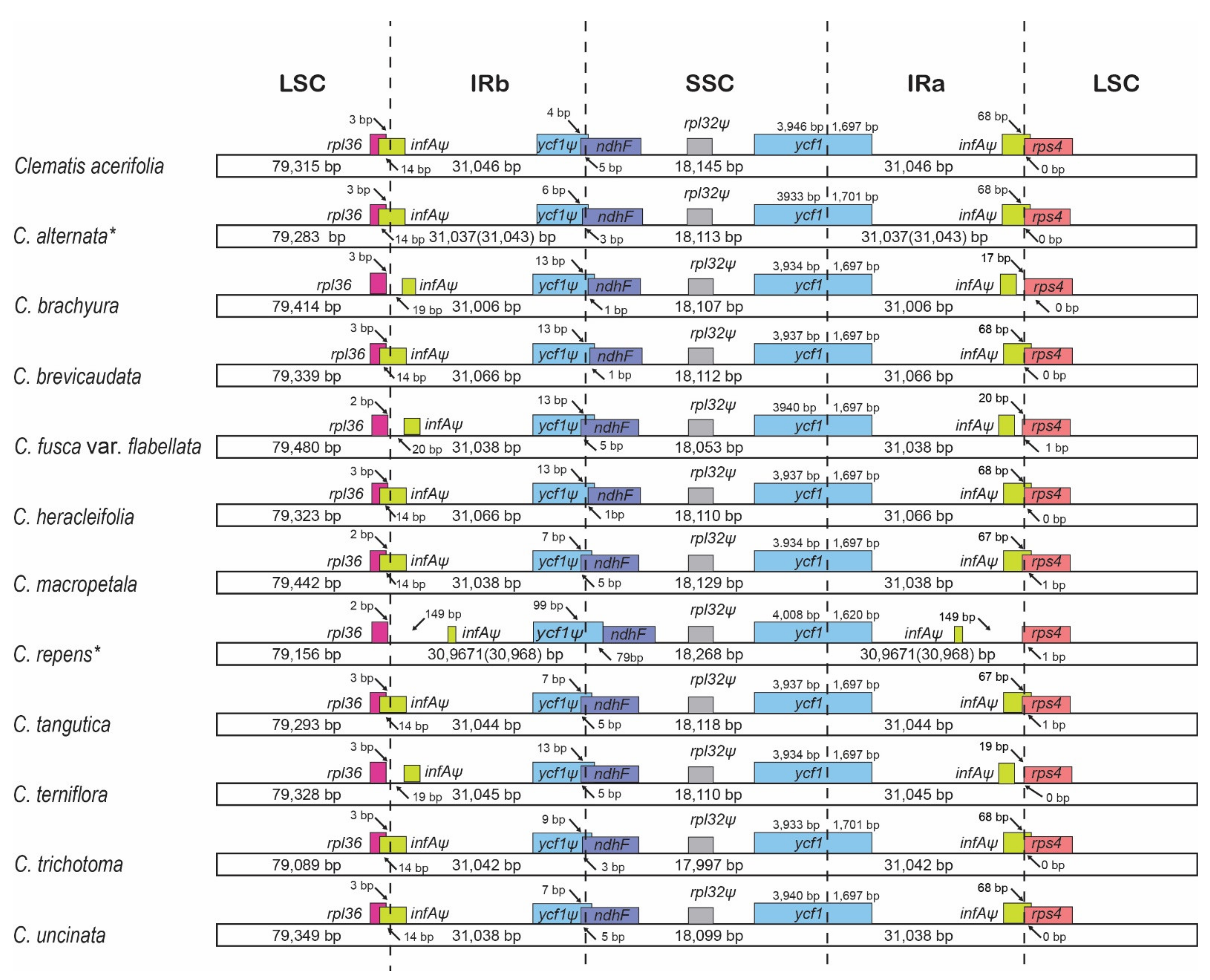 Plants 10 00397 g003 Plants 10 00397 g003