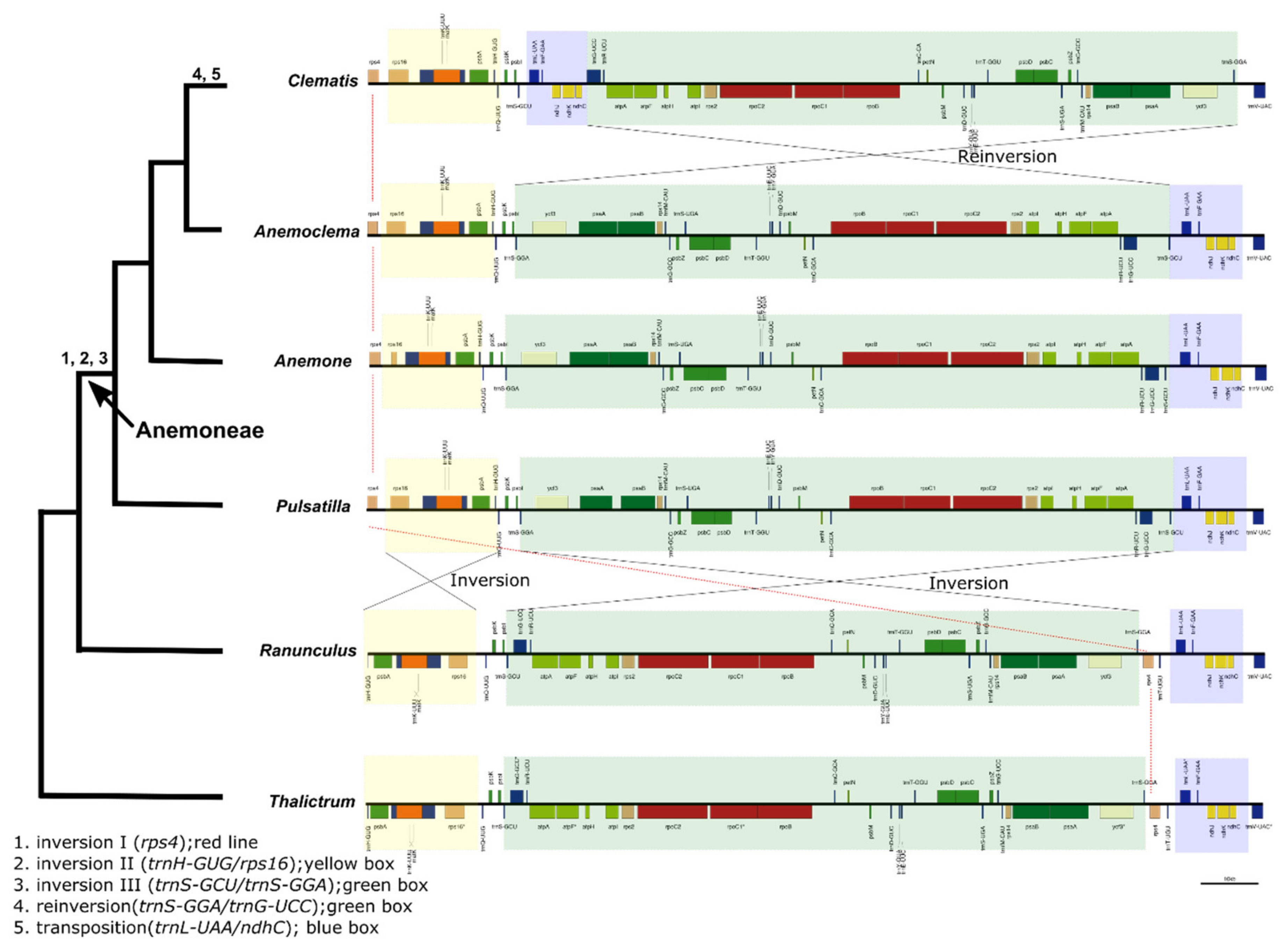 Plants 10 00397 g007 Plants 10 00397 g007
