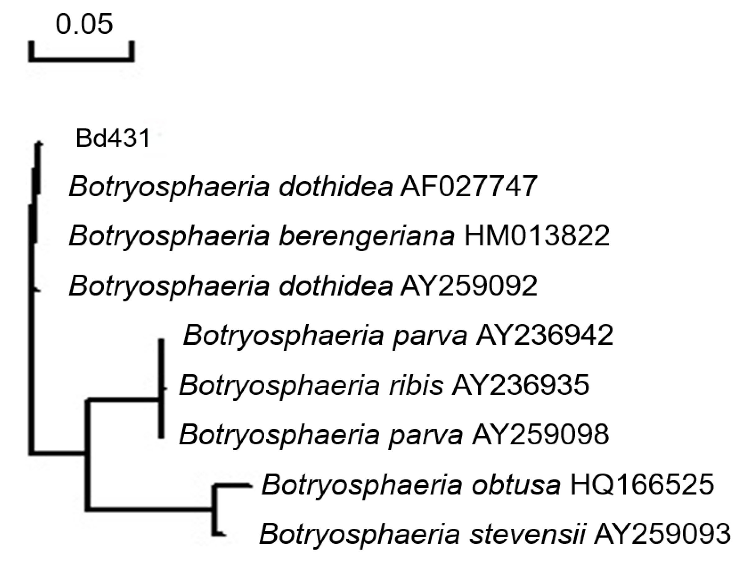 Plants 10 00401 g003 Plants 10 00401 g003