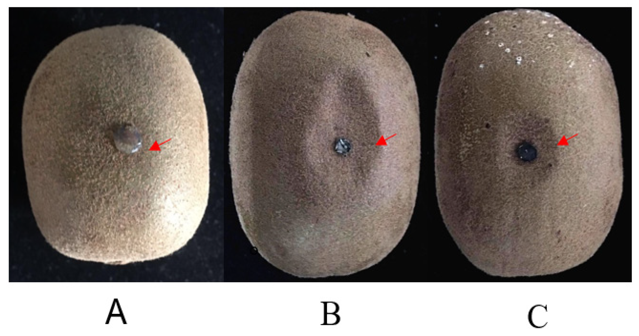 Plants 10 00401 g004 Plants 10 00401 g004