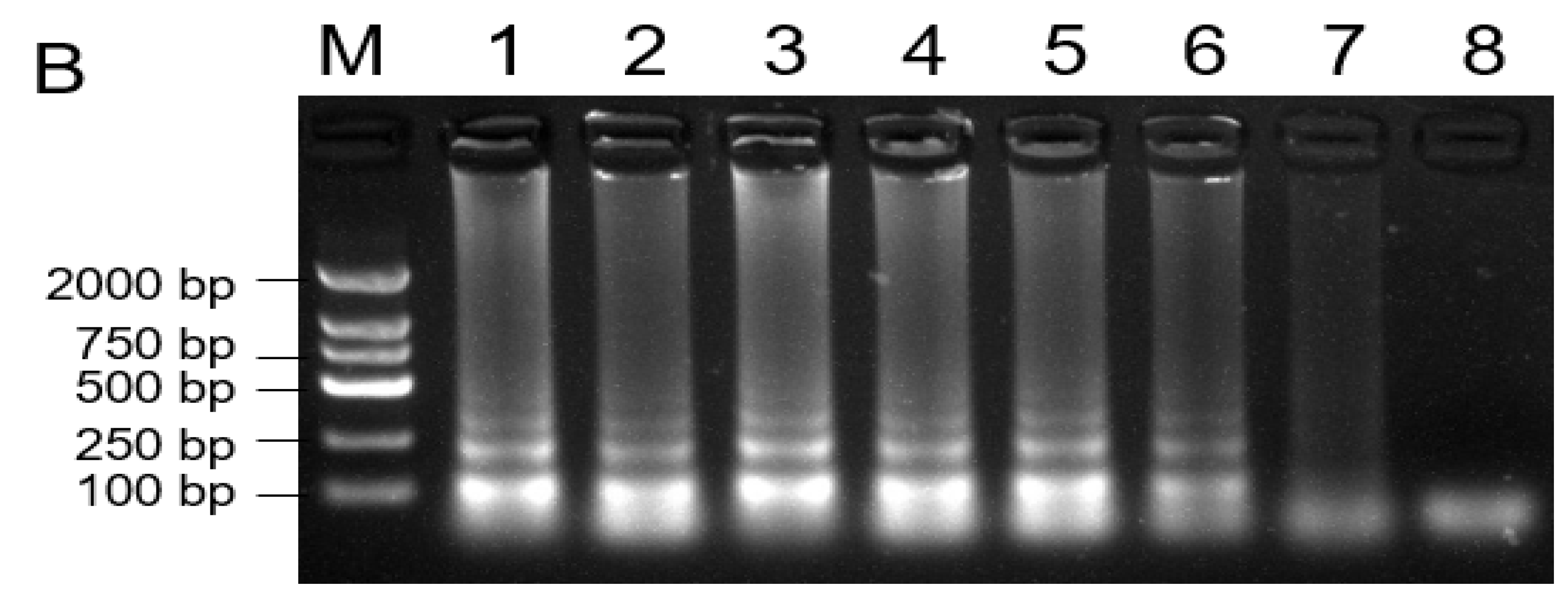 Plants 10 00401 g006b Plants 10 00401 g006b