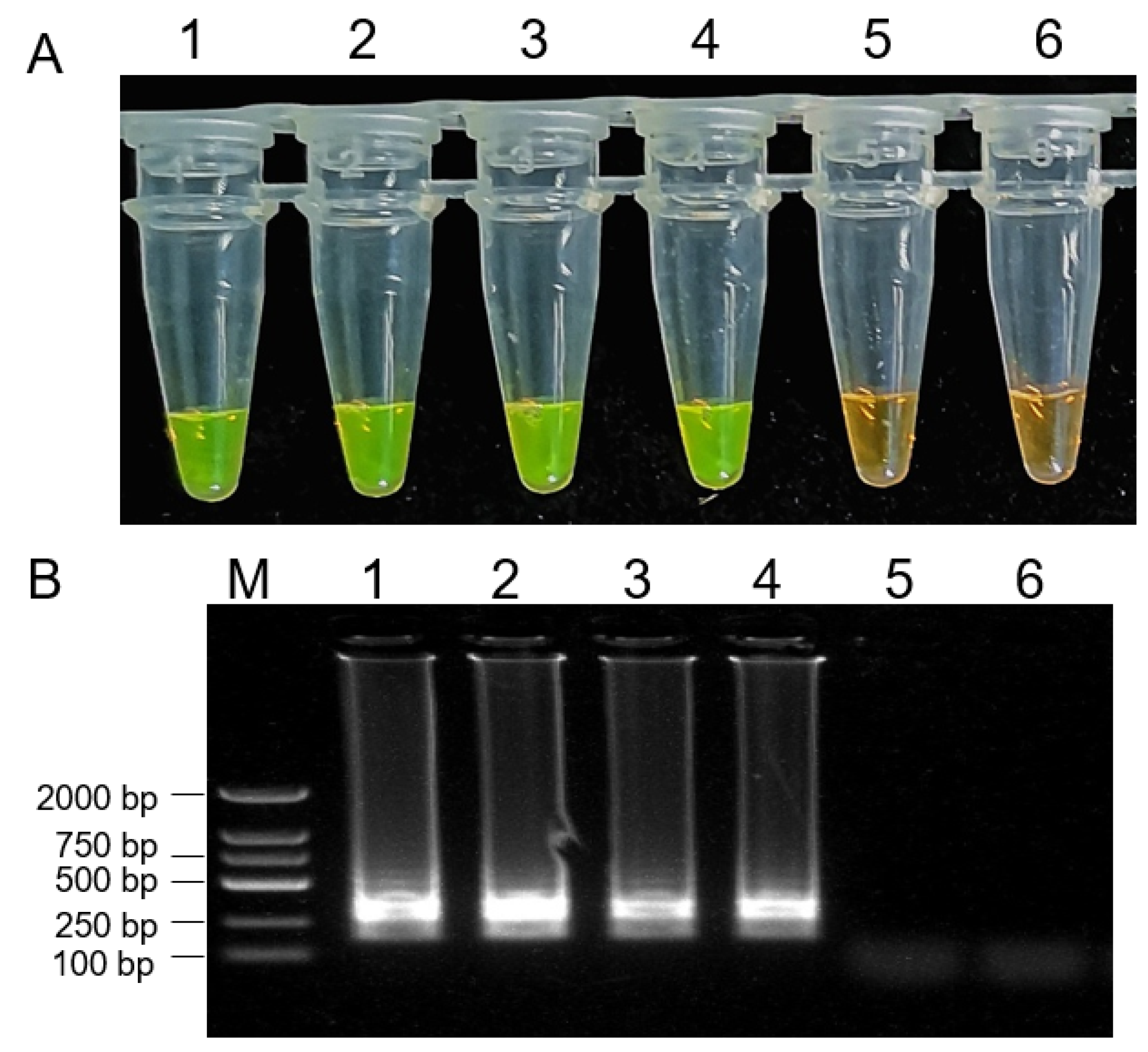 Plants 10 00401 g007 Plants 10 00401 g007