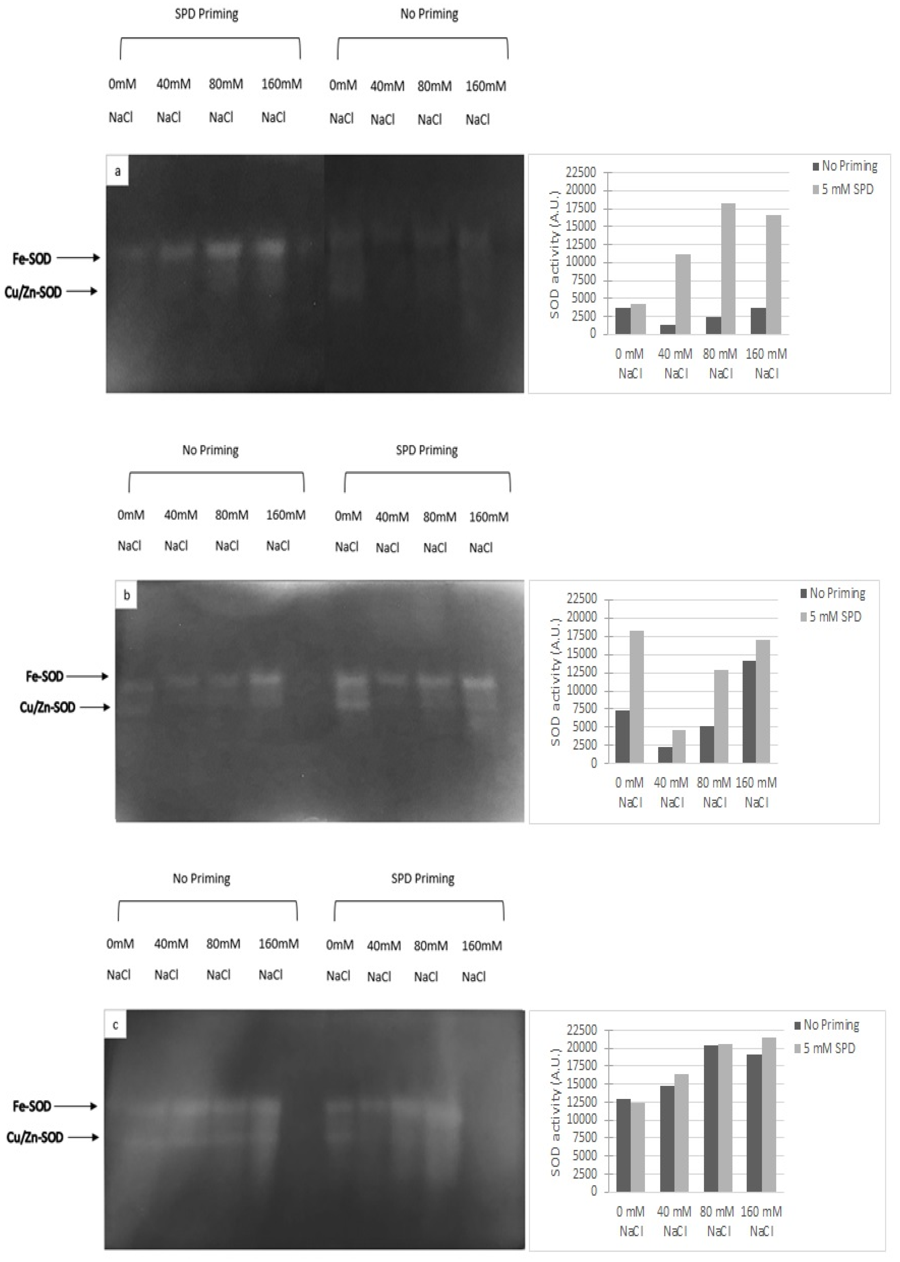 Plants 10 00403 g003