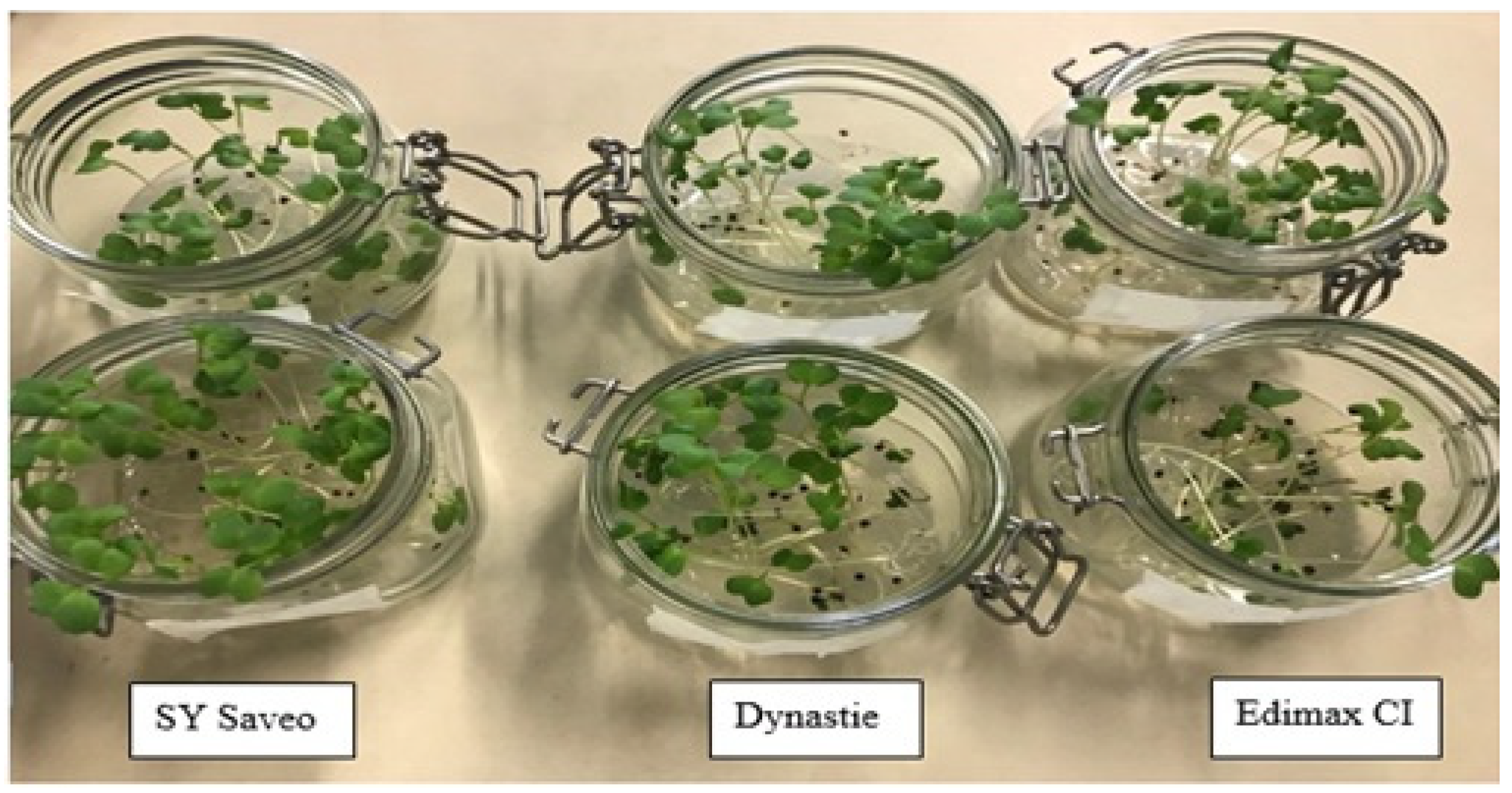 Plants 10 00403 g005