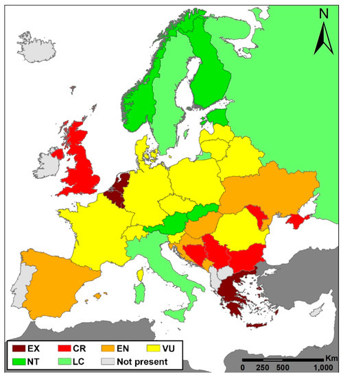 Plants Free Full Text How To Protect Natural Habitats Of Rare Terrestrial Orchids Effectively A Comparative Case Study Of Cypripedium Calceolus In Different Geographical Regions Of Europe Html Plants Free Full Text How To Protect Natural Habitats Of Rare Terrestrial Orchids Effectively A Comparative Case Study Of Cypripedium Calceolus In Different Geographical Regions Of Europe Html
