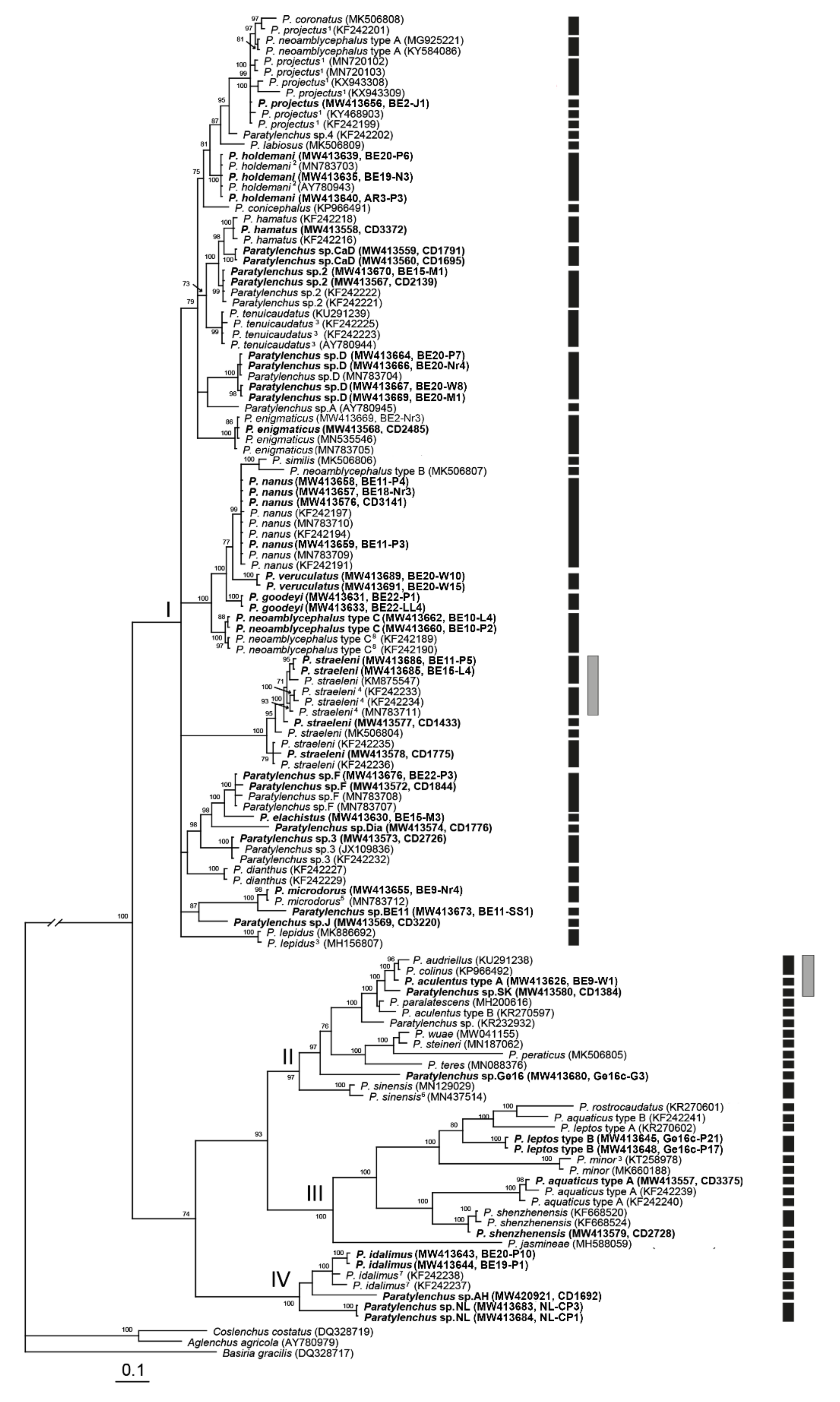 Plants 10 00408 g016
