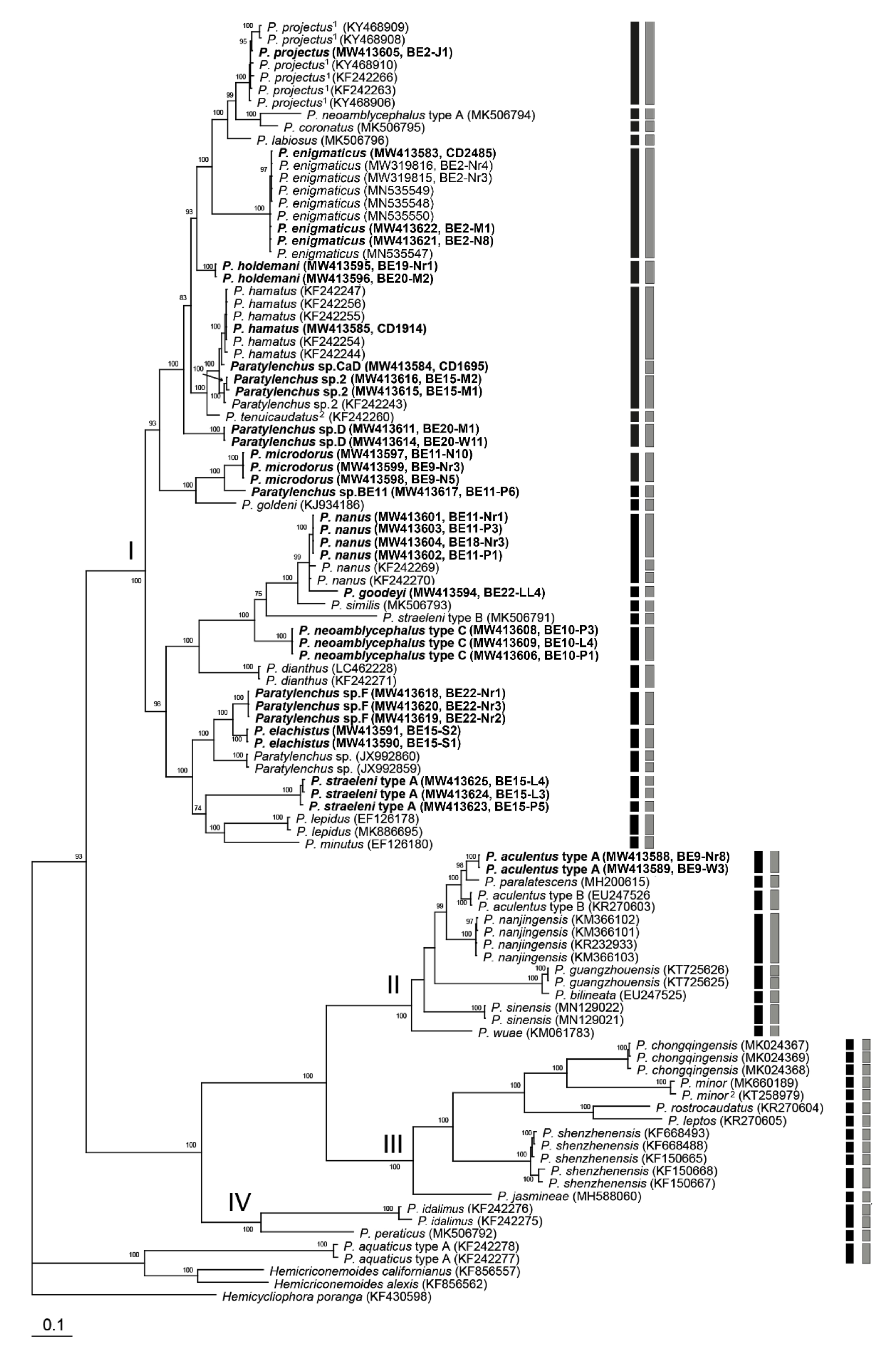 Plants 10 00408 g017