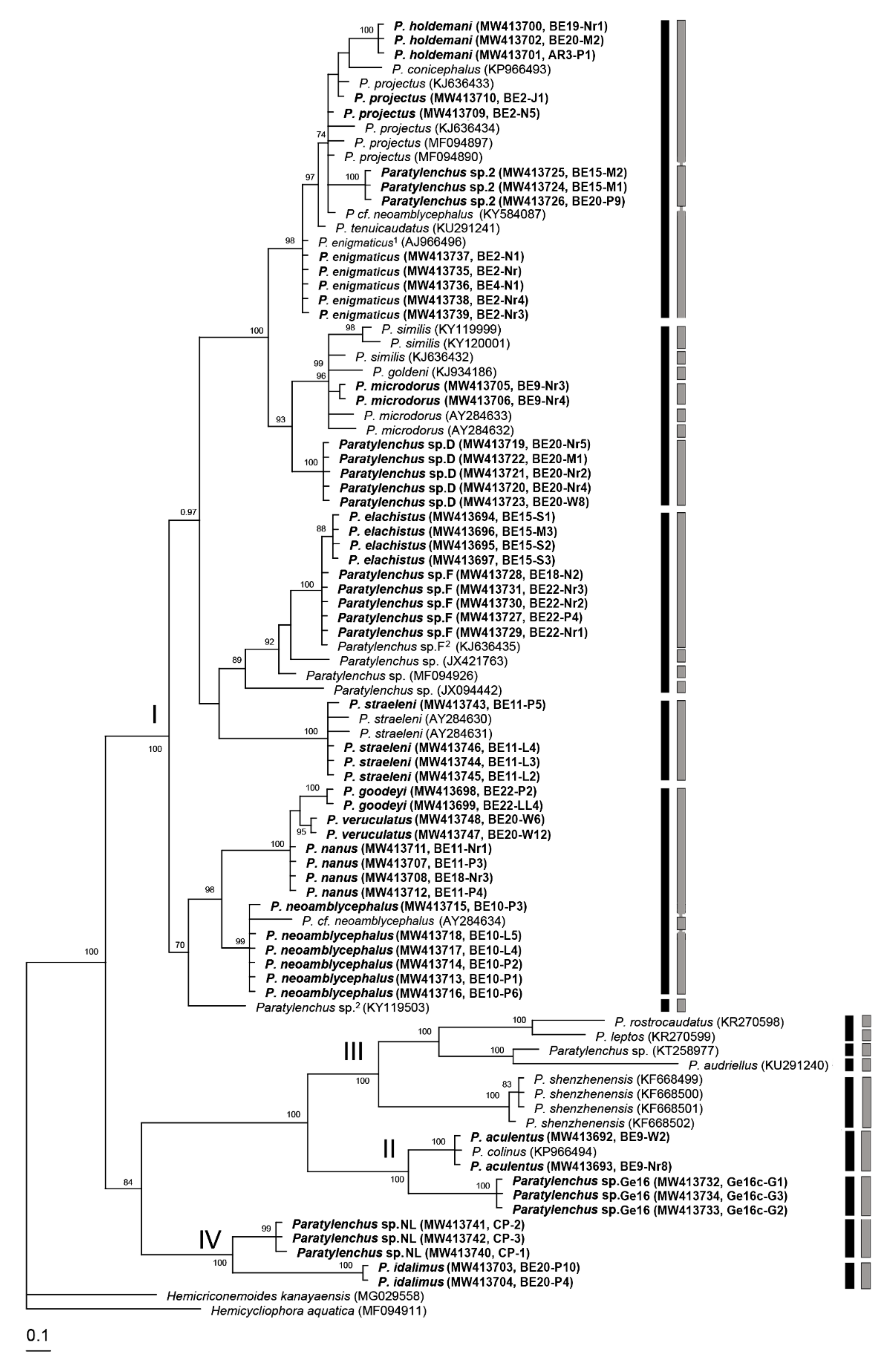 Plants 10 00408 g018