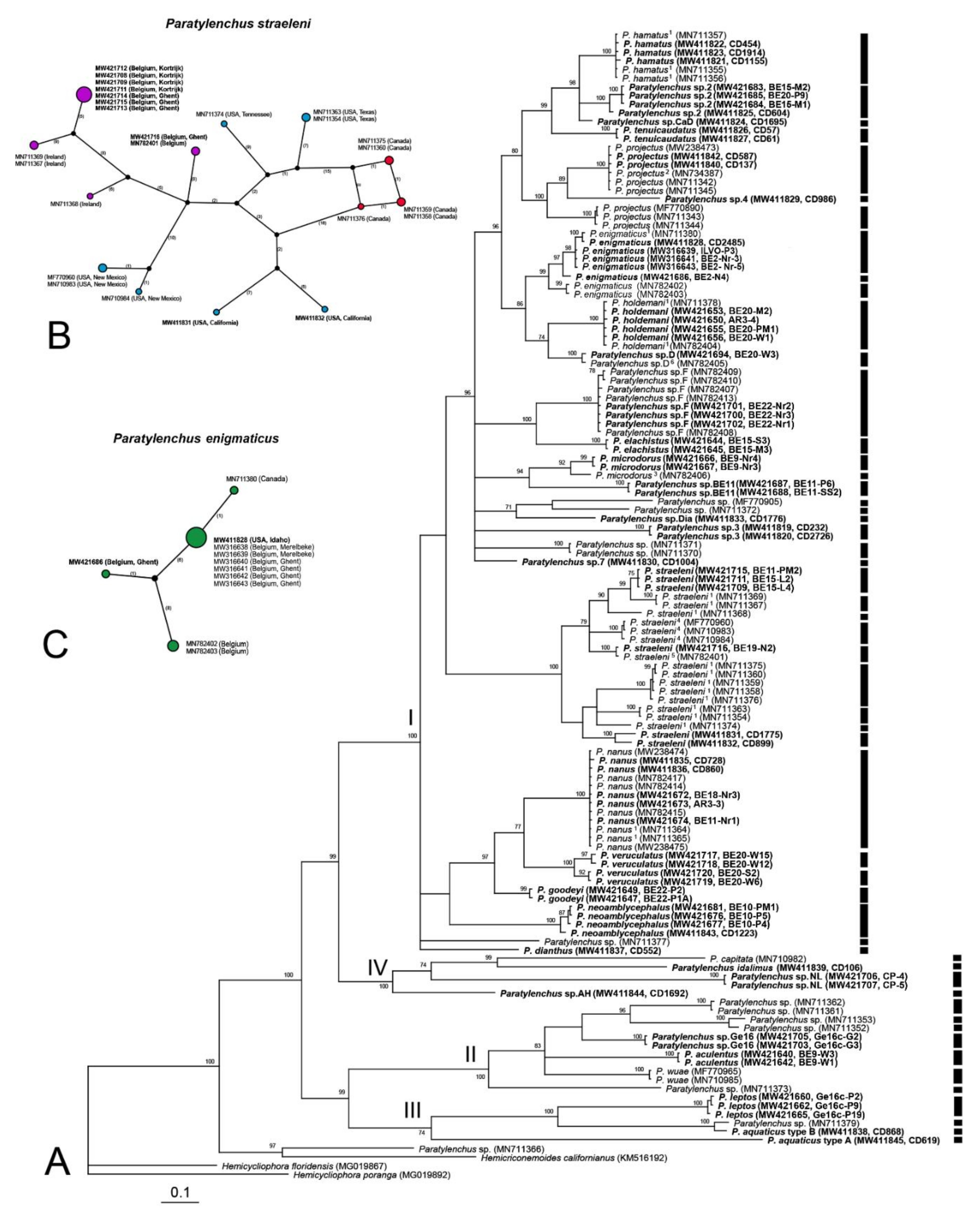 Plants 10 00408 g019