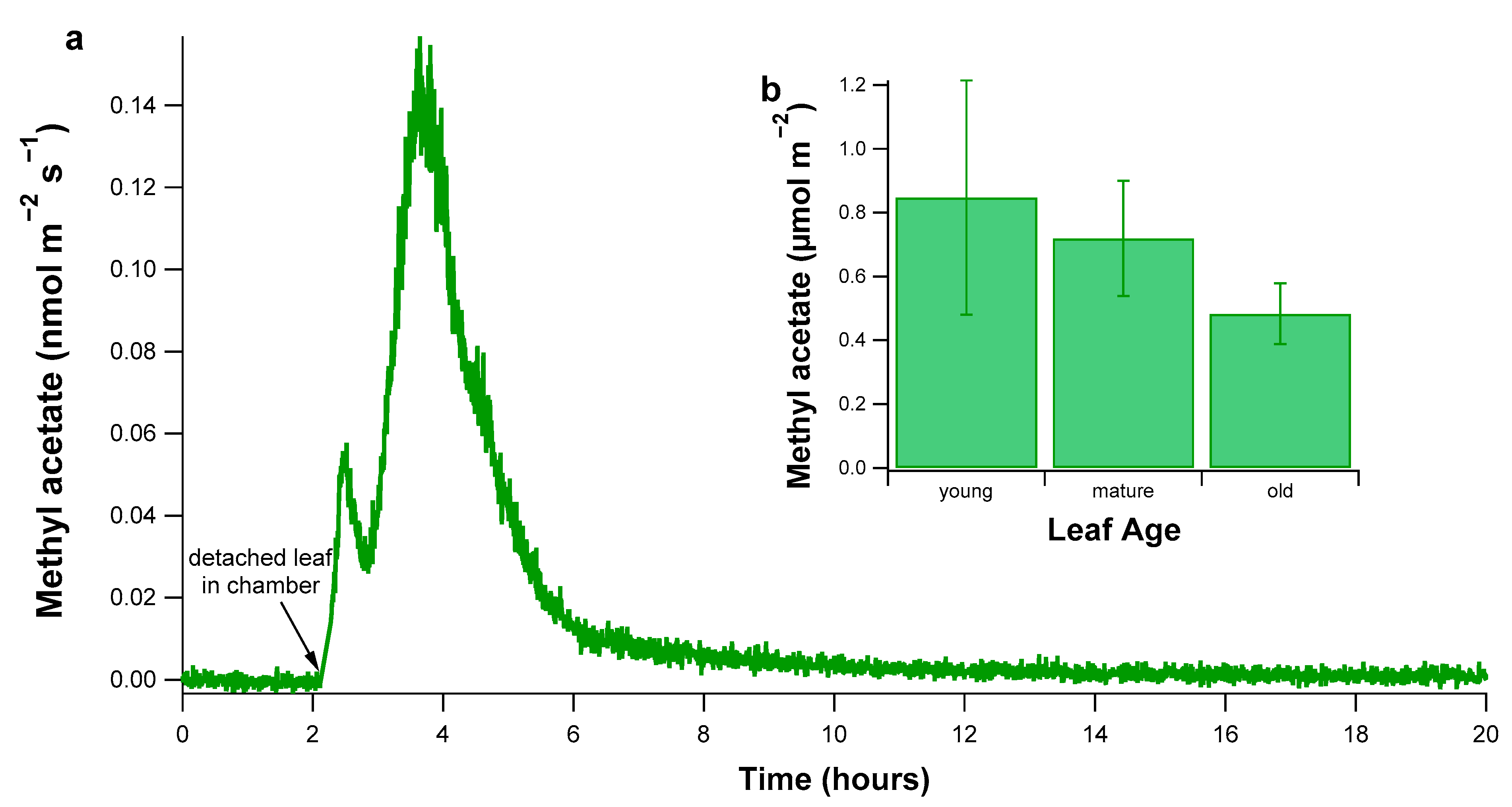 Plants 10 00411 g003 Plants 10 00411 g003