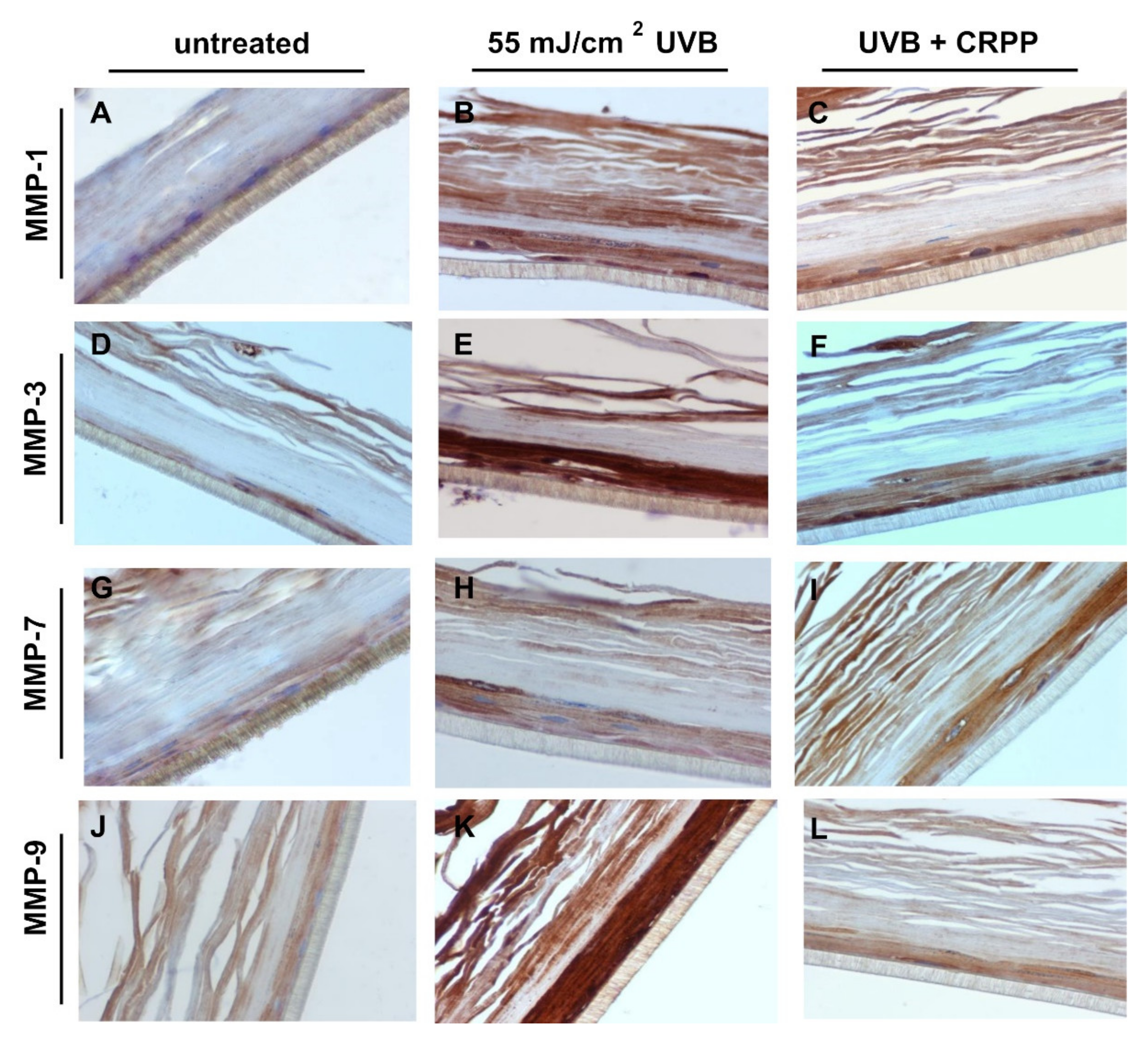 Plants 10 00420 g009 Plants 10 00420 g009