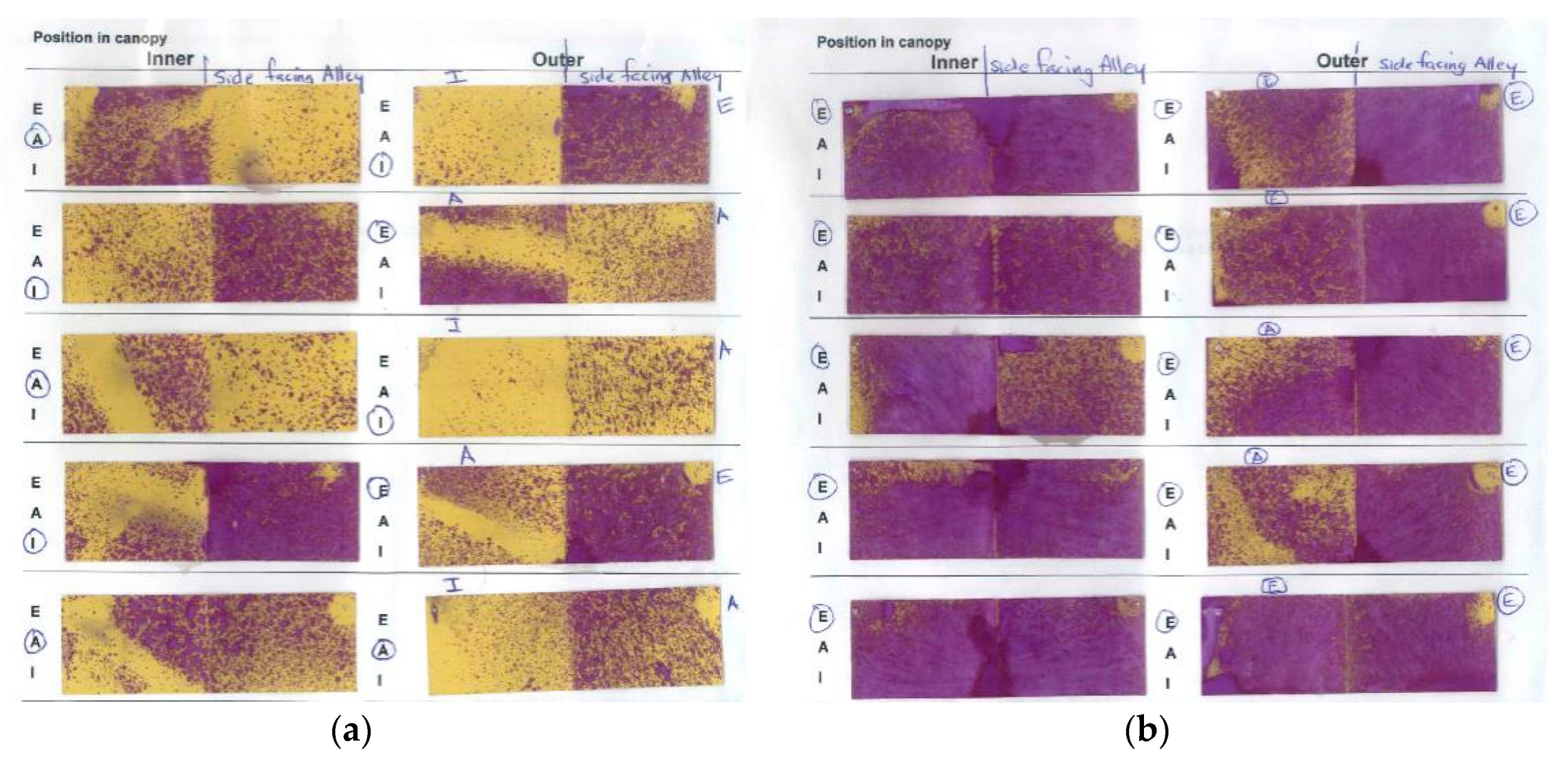Plants 10 00423 g005