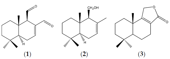 Plants 10 00425 g002 Plants 10 00425 g002