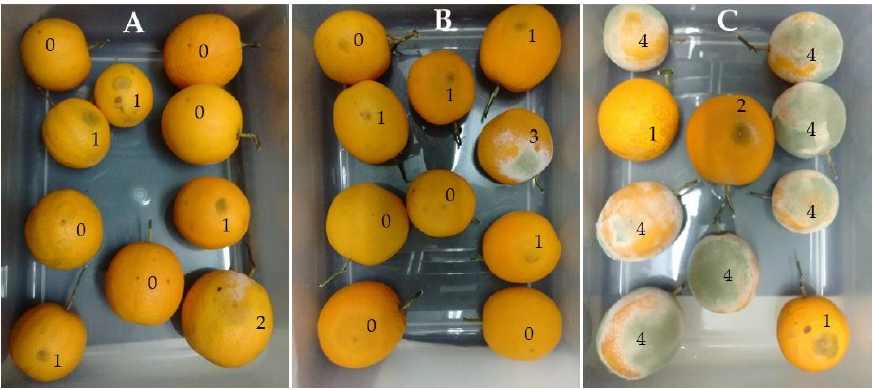 Plants 10 00425 g004 Plants 10 00425 g004