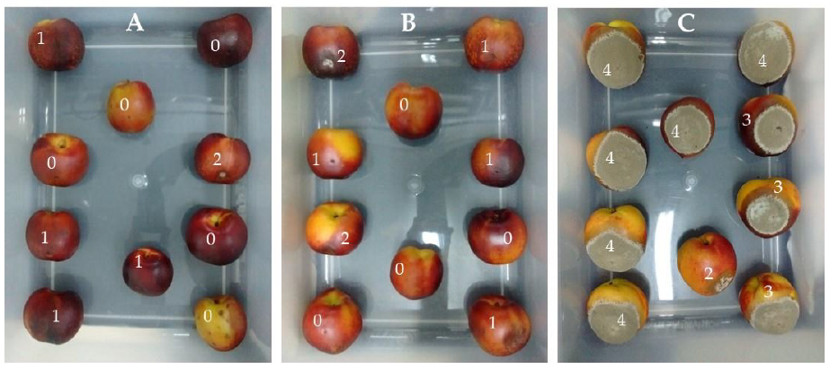 Plants 10 00425 g005 Plants 10 00425 g005