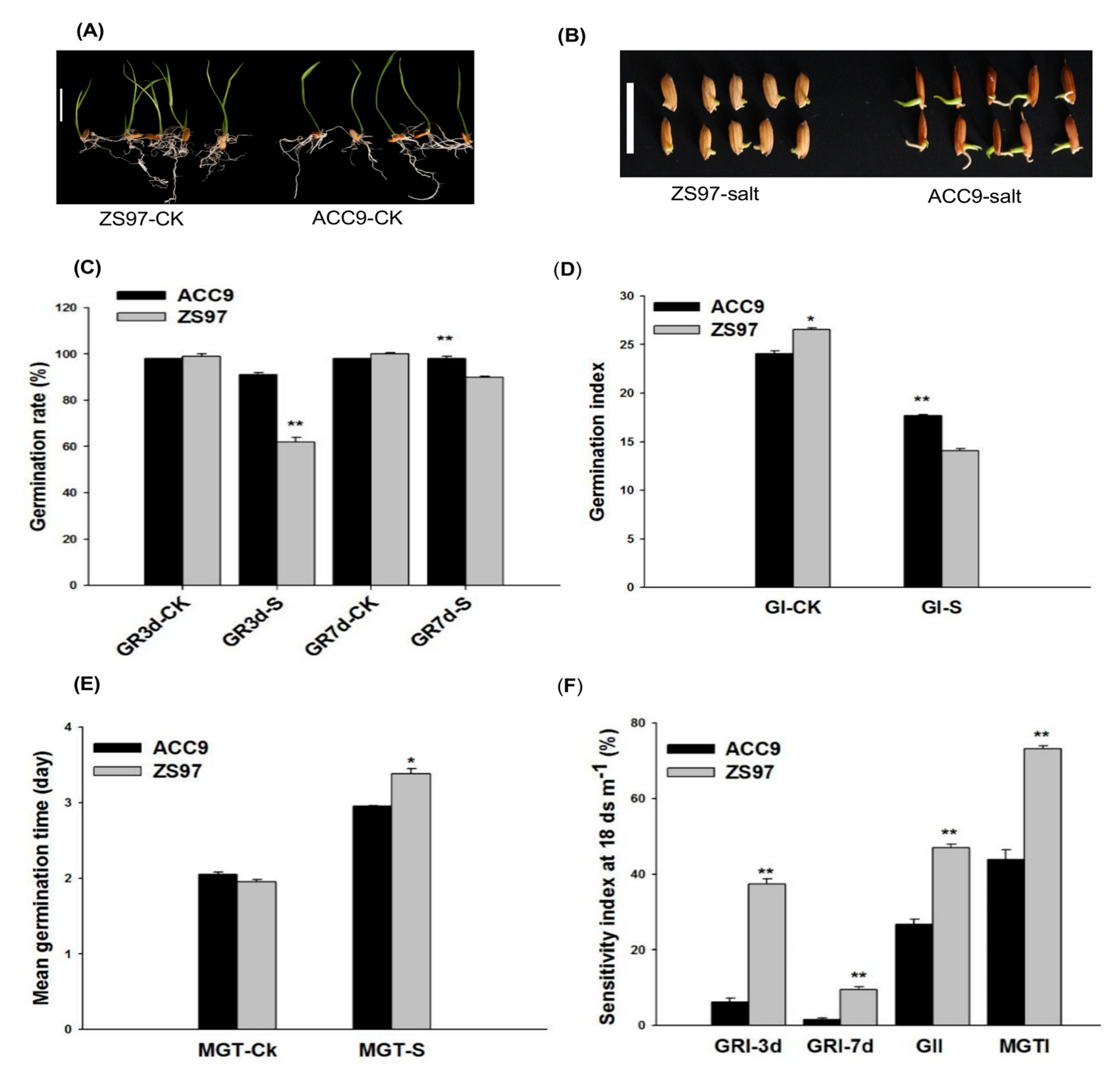 Plants 10 00428 g001
