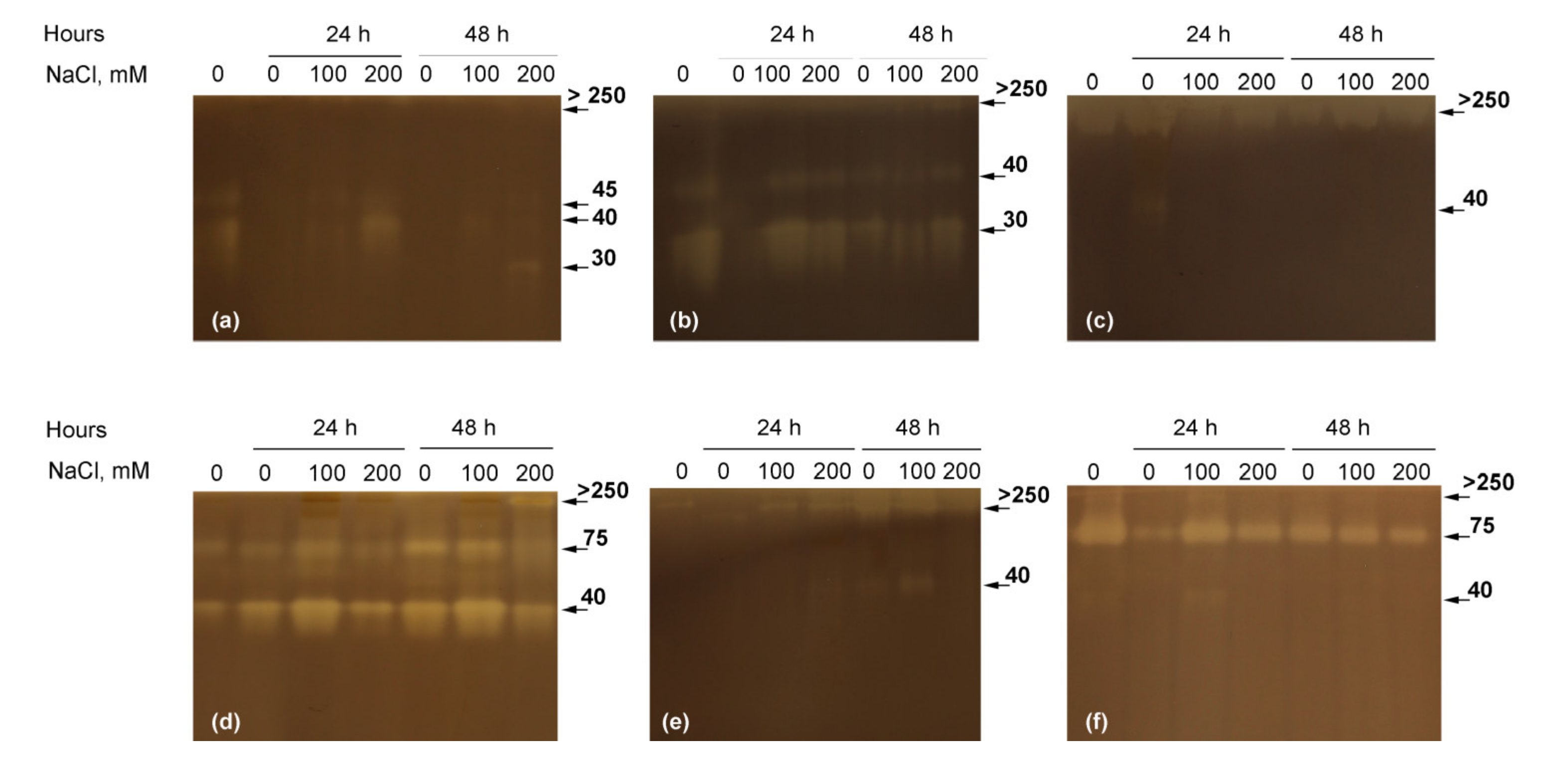 Plants 10 00438 g004