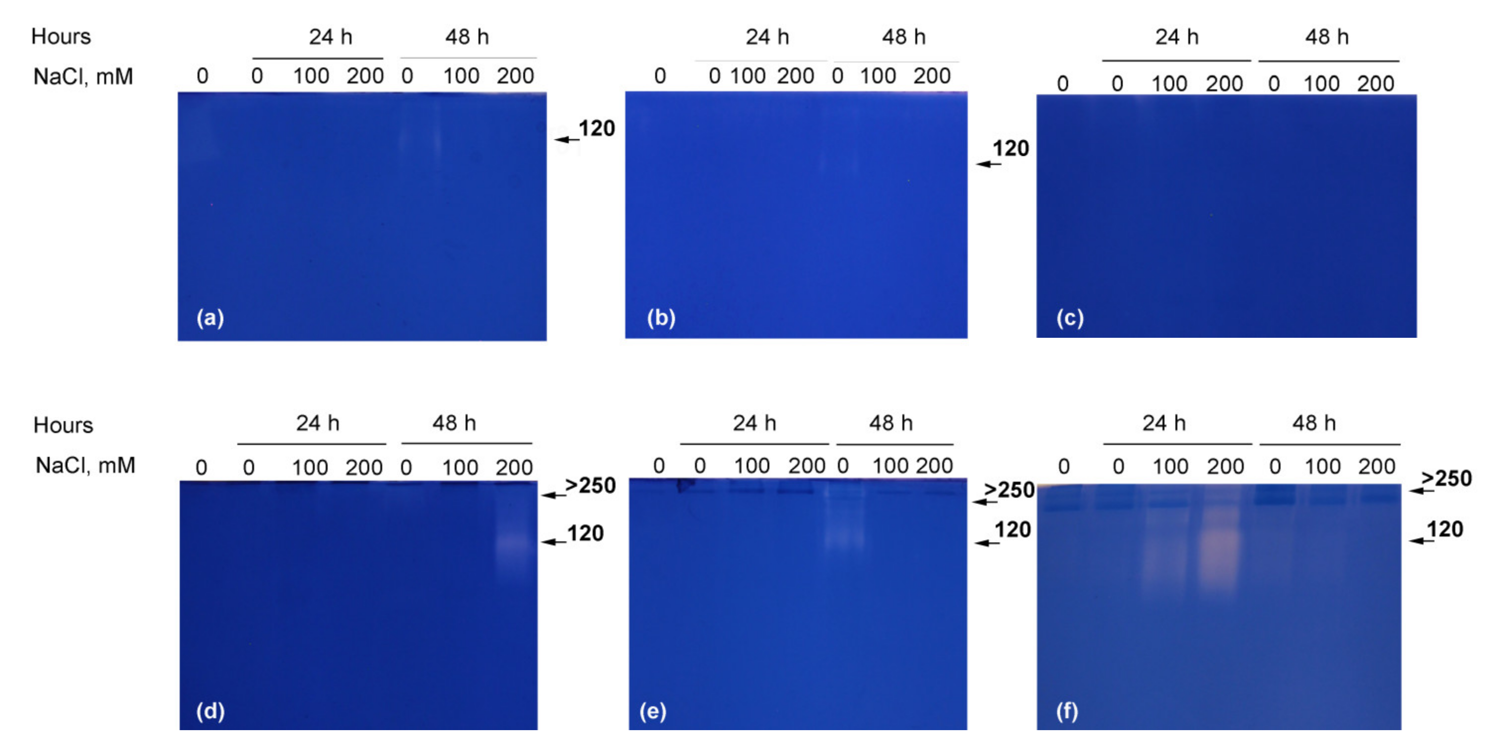 Plants 10 00438 g005