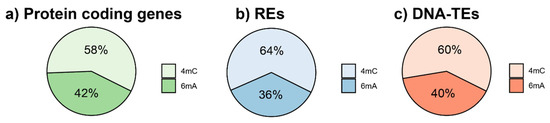 DNA Modification Patterns within the Transposable Elements of the Fig ...