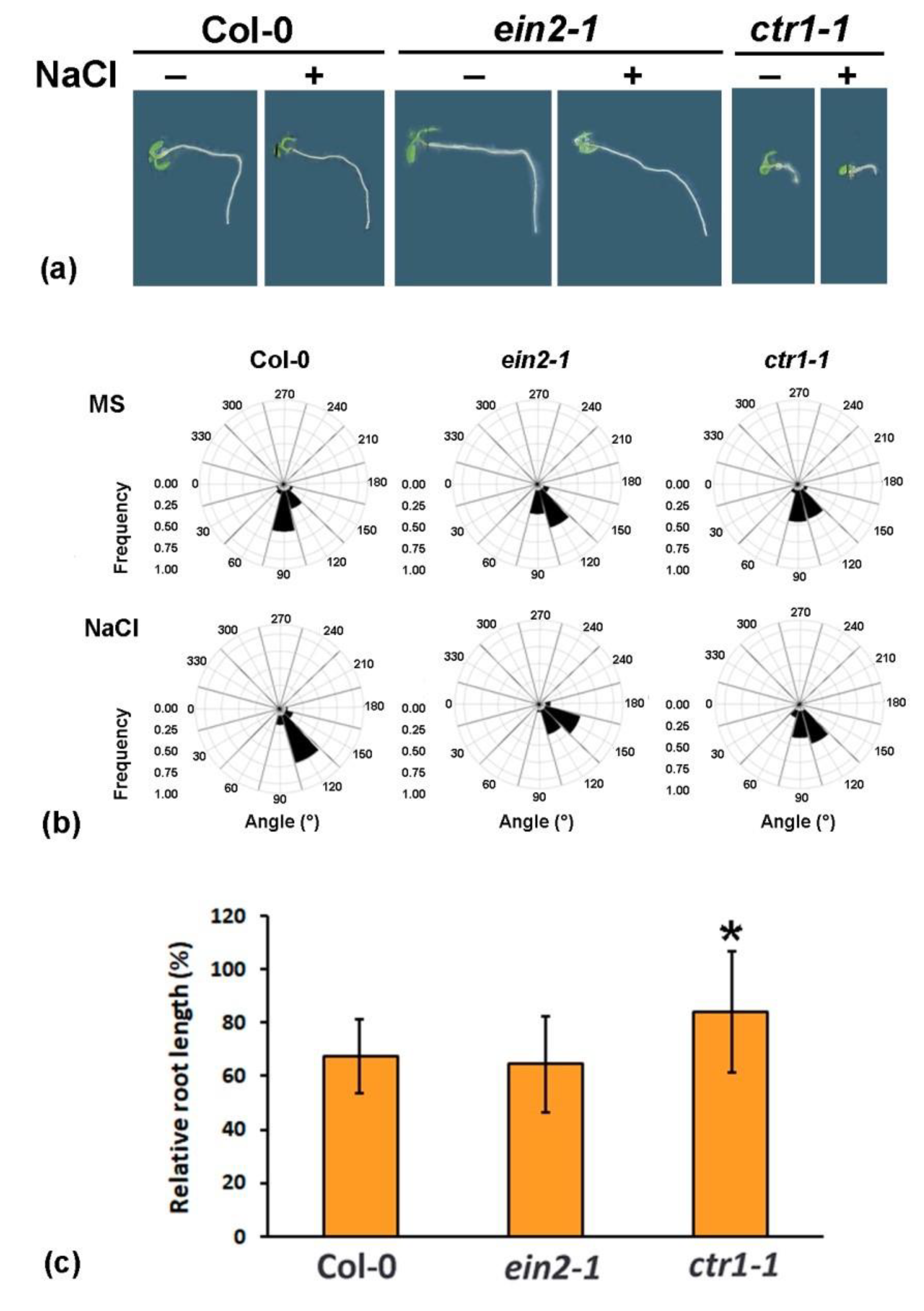 Plants 10 00452 g001 Plants 10 00452 g001