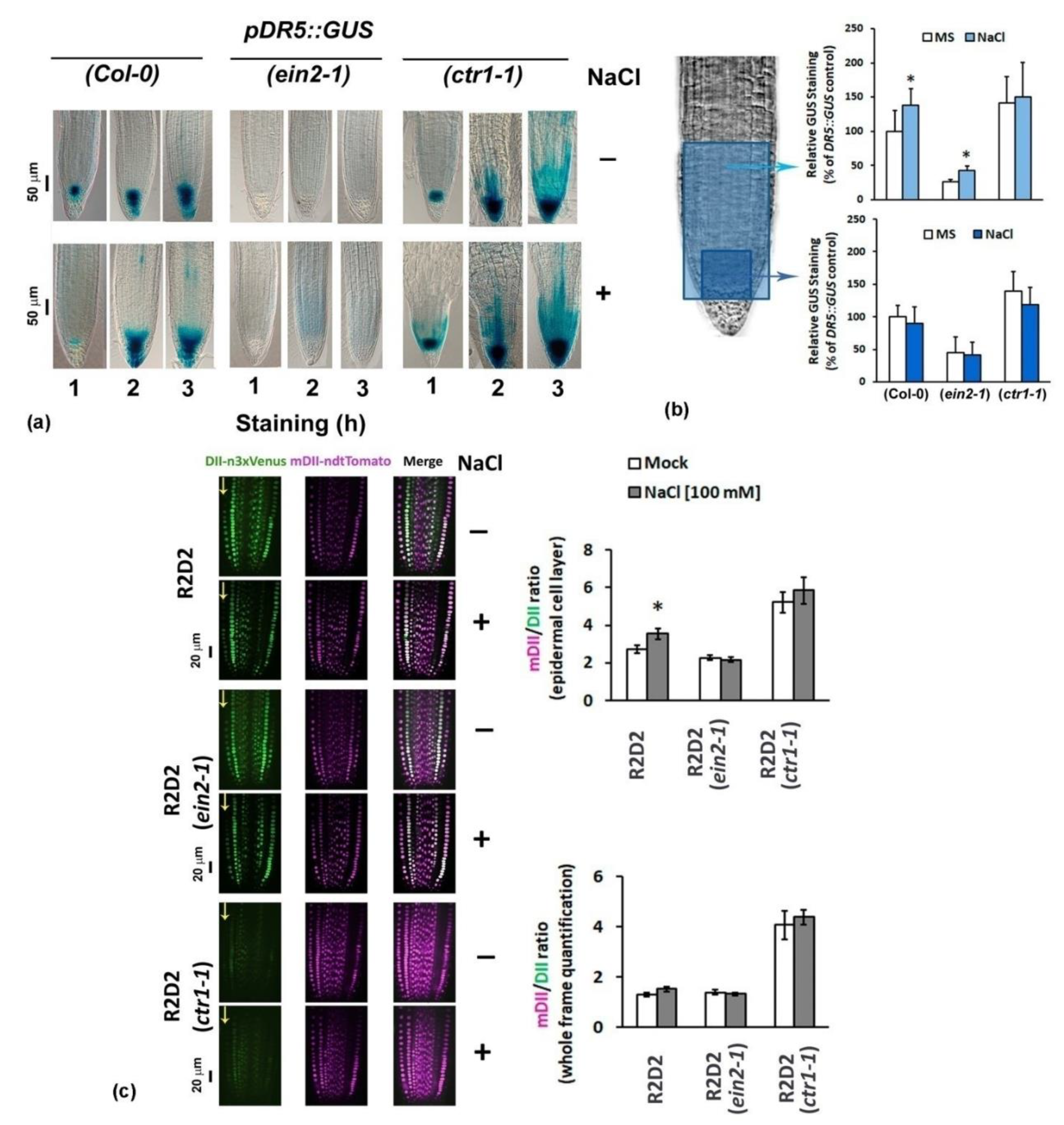 Plants 10 00452 g002 Plants 10 00452 g002