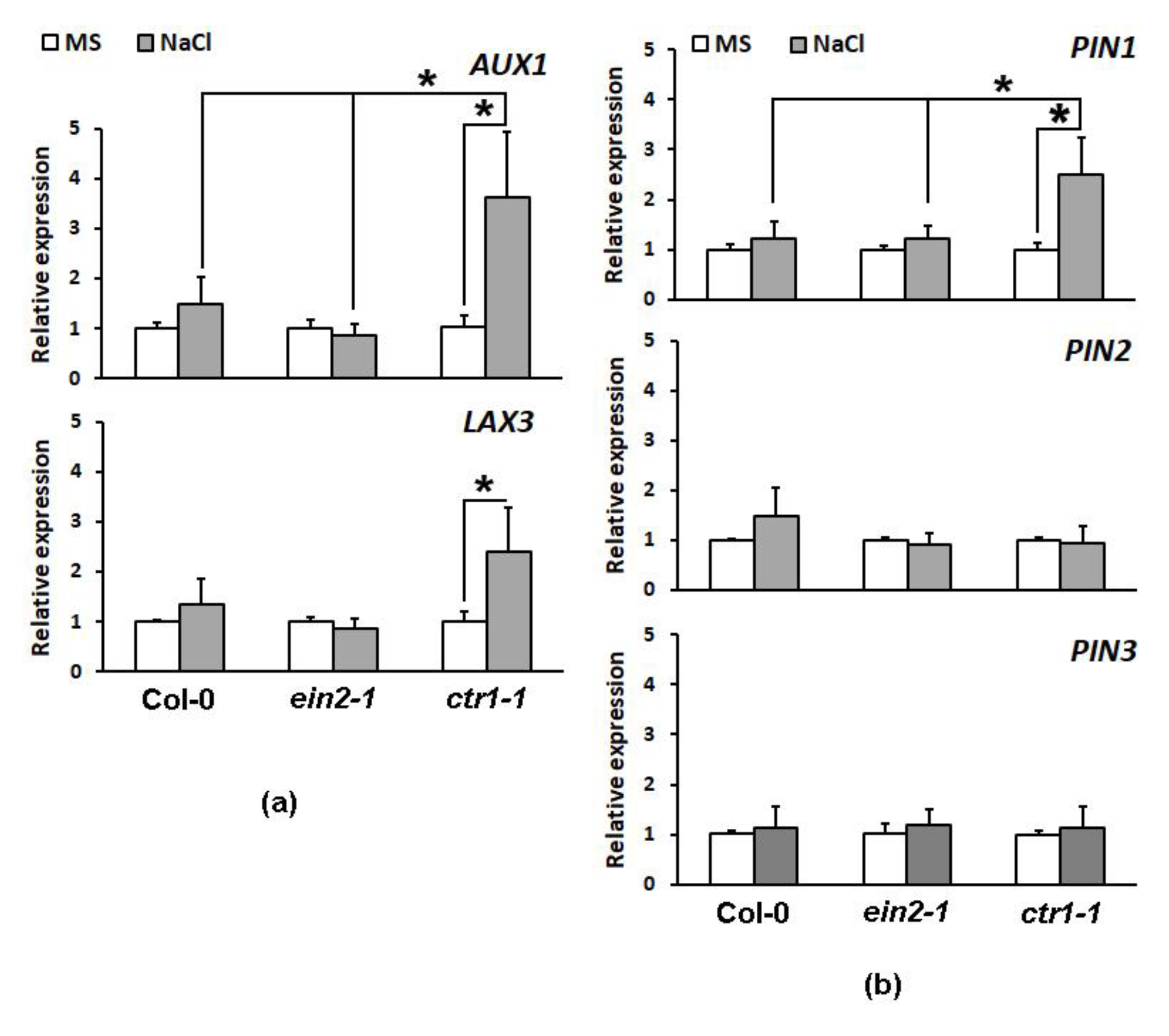 Plants 10 00452 g004 Plants 10 00452 g004
