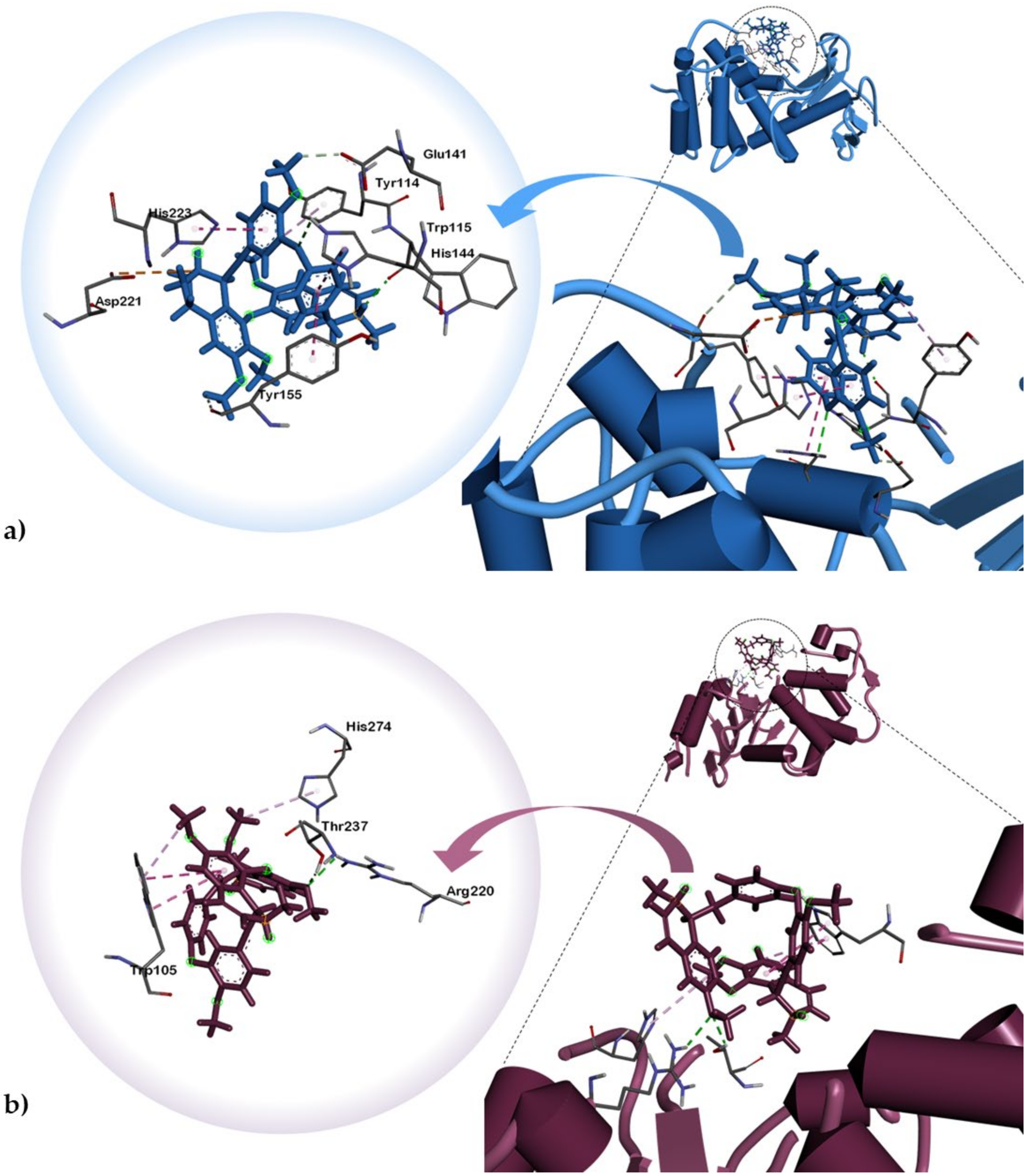 Plants 10 00462 g002
