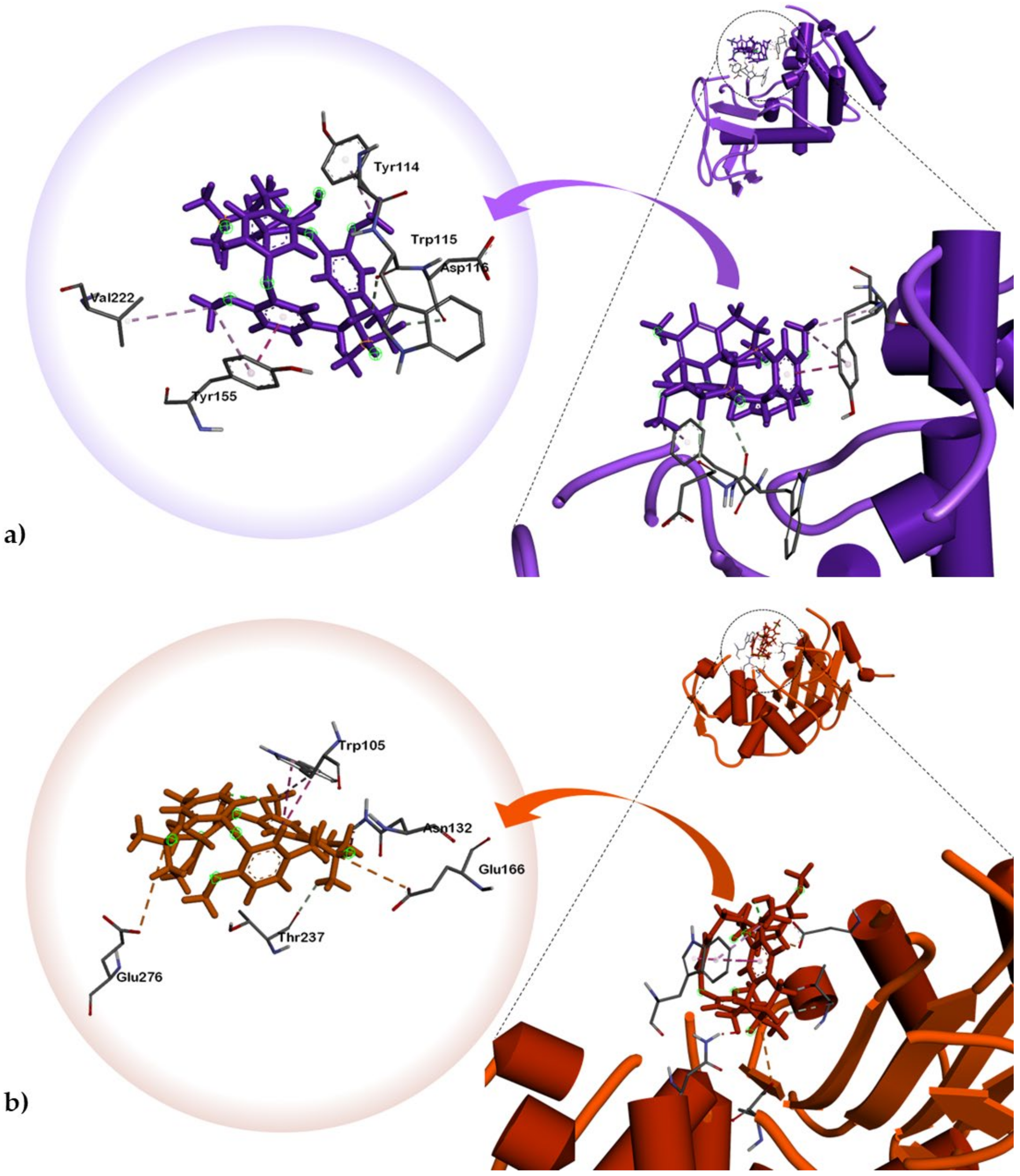 Plants 10 00462 g003