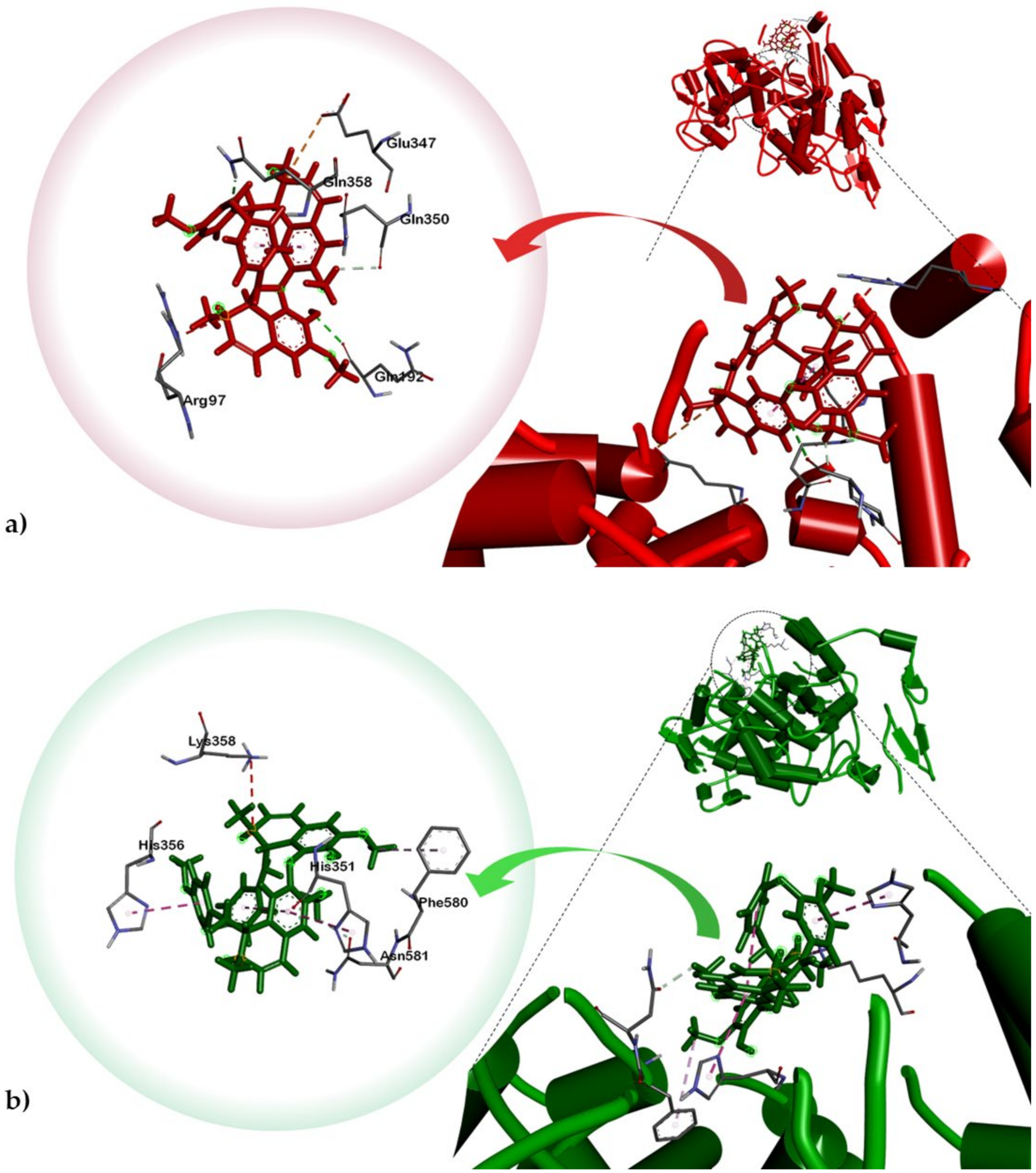 Plants 10 00462 g004