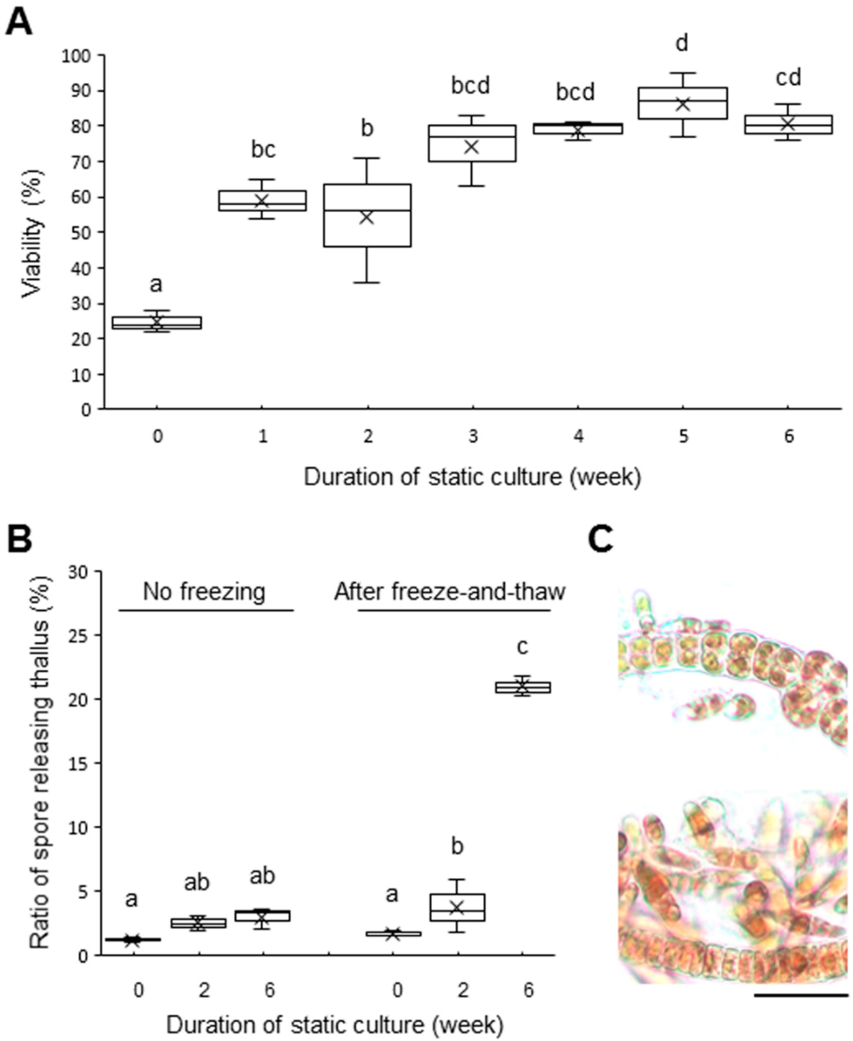 Plants 10 00465 g001