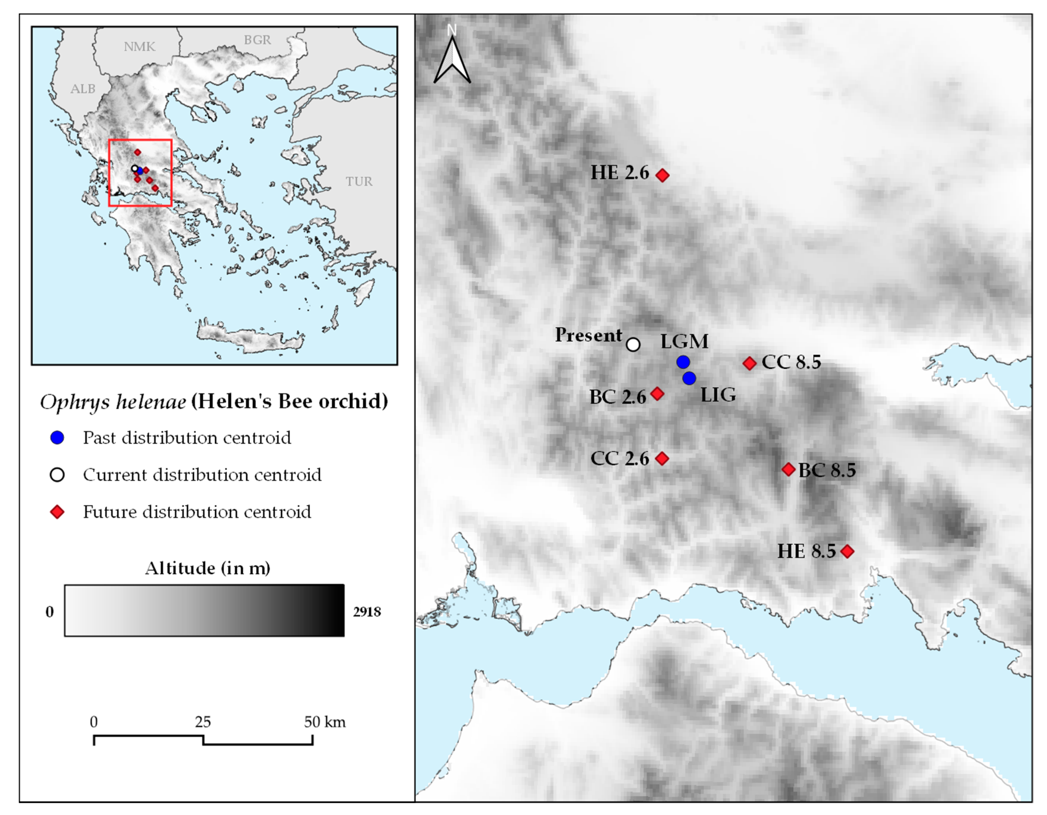 Plants 10 00470 g004