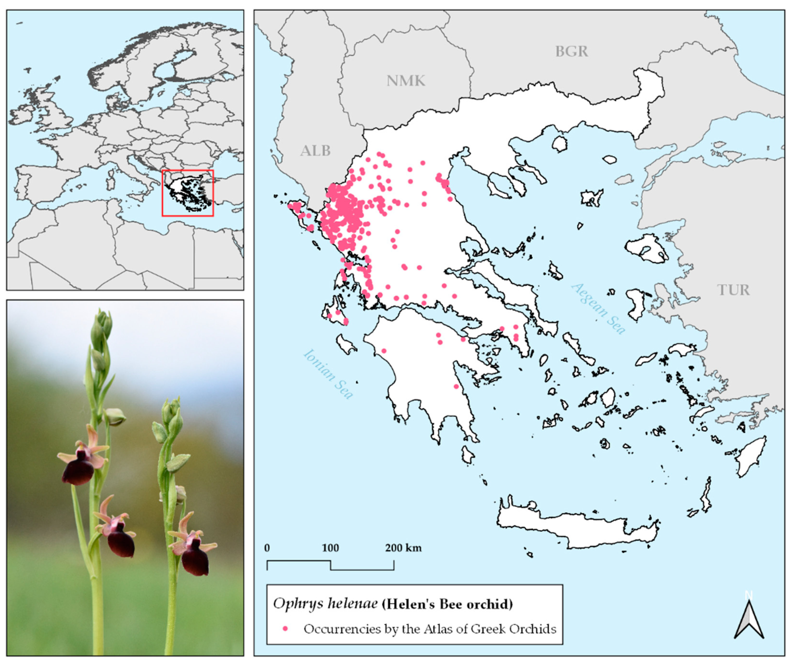 Plants 10 00470 g005