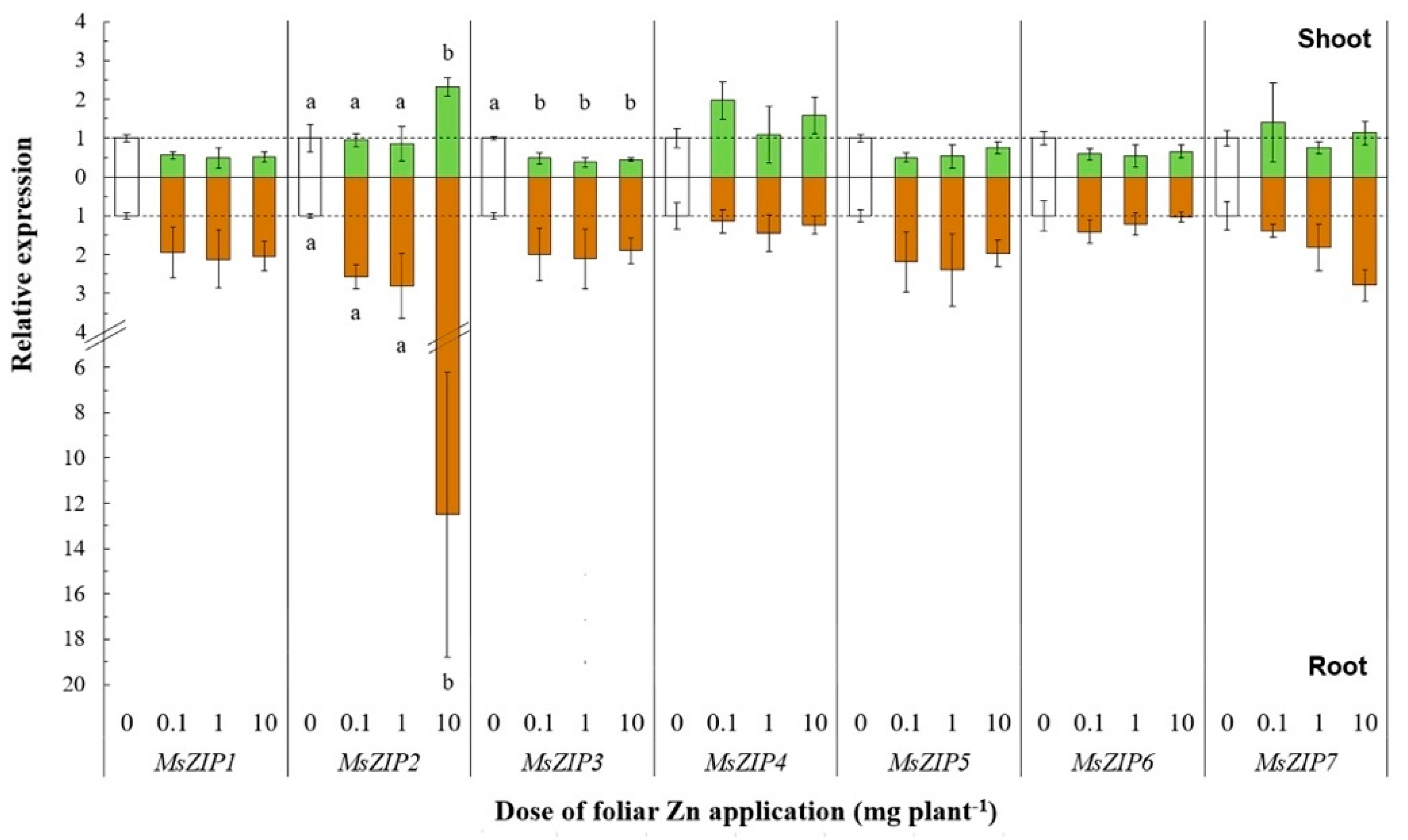Plants 10 00476 g003