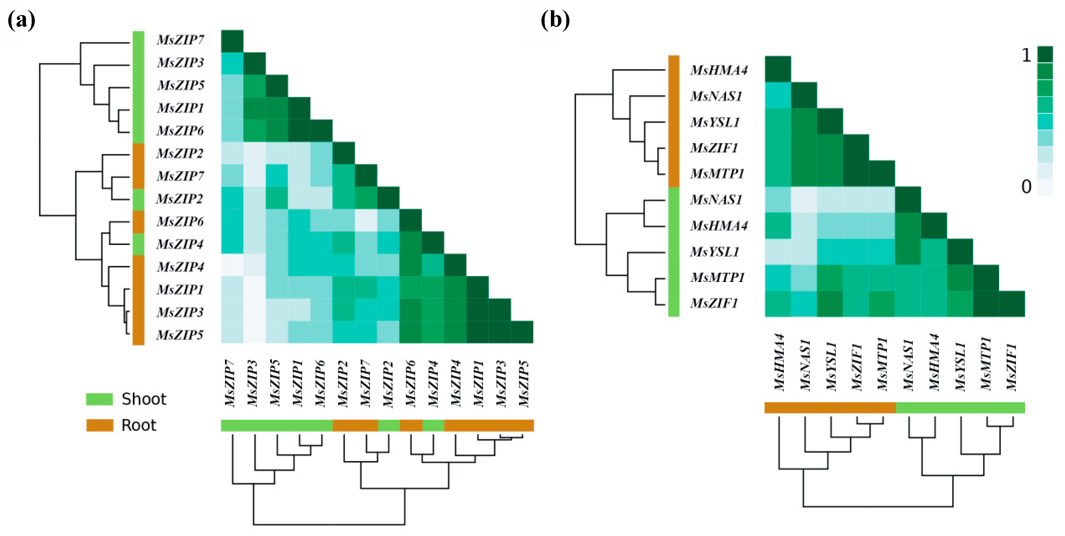 Plants 10 00476 g005