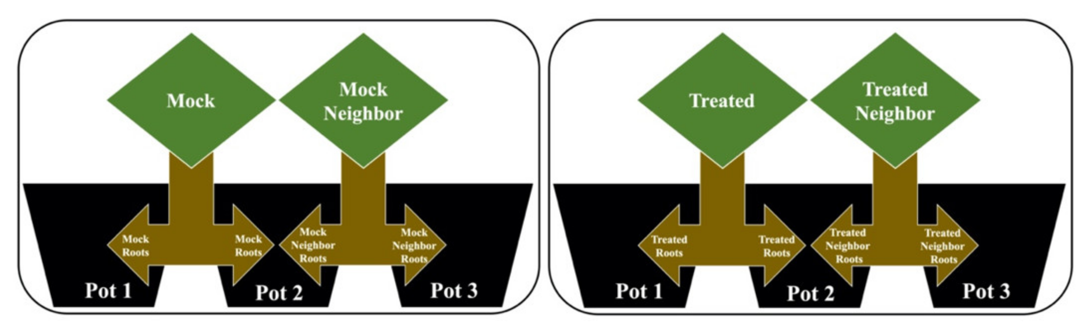Plants 10 00485 g005