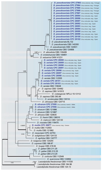 Plants 10 00492 g002 550