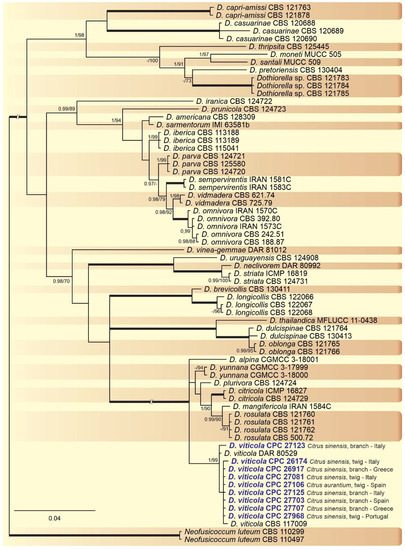 Plants 10 00492 g003 550