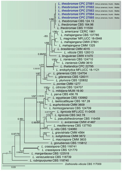 Plants 10 00492 g004 550